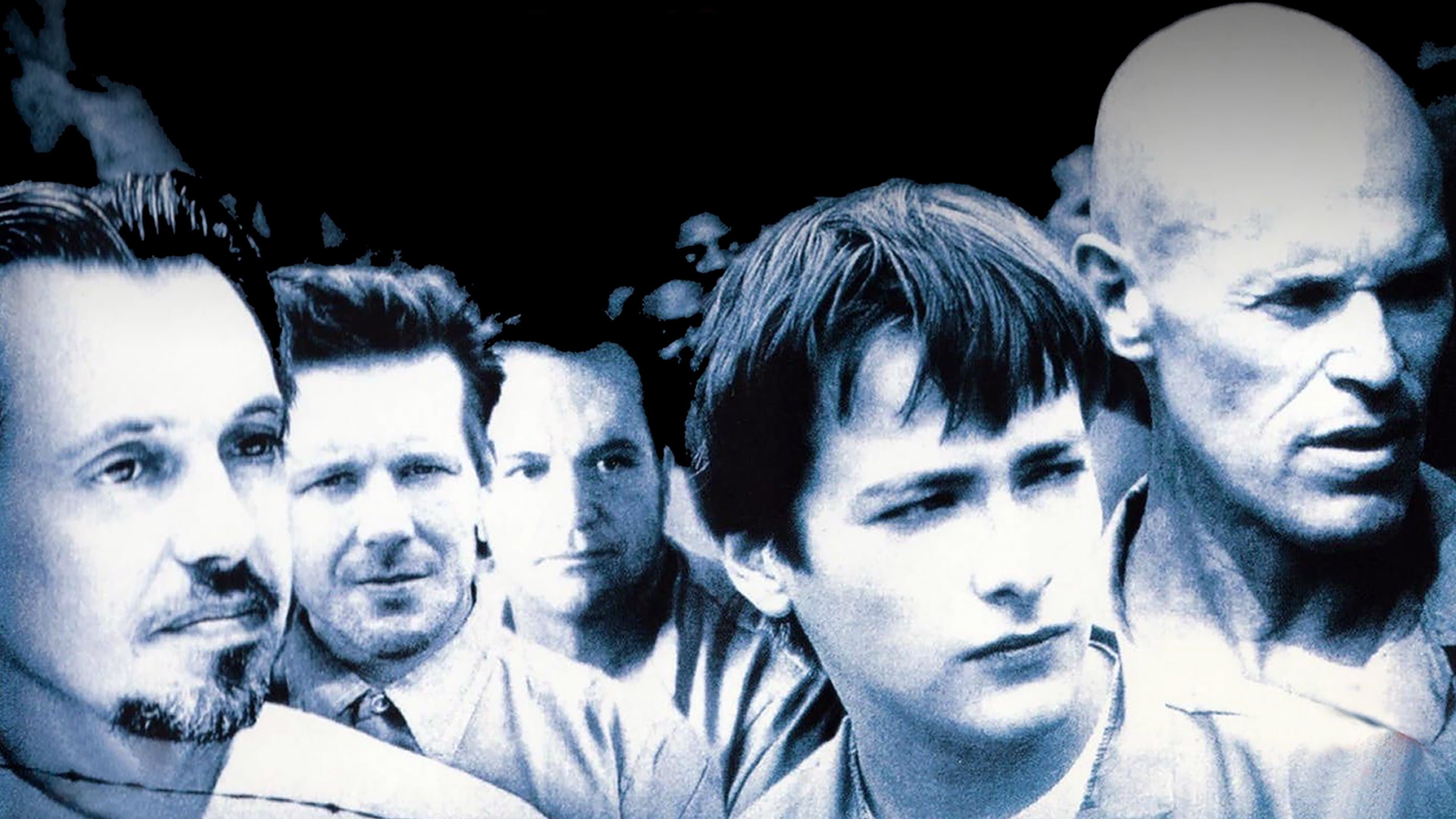 Backdrop of Animal Factory