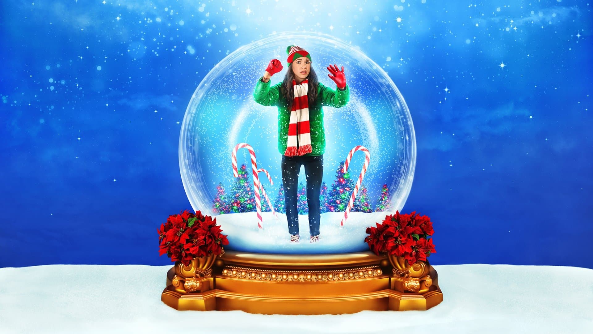 Backdrop of Christmas...Again?!
