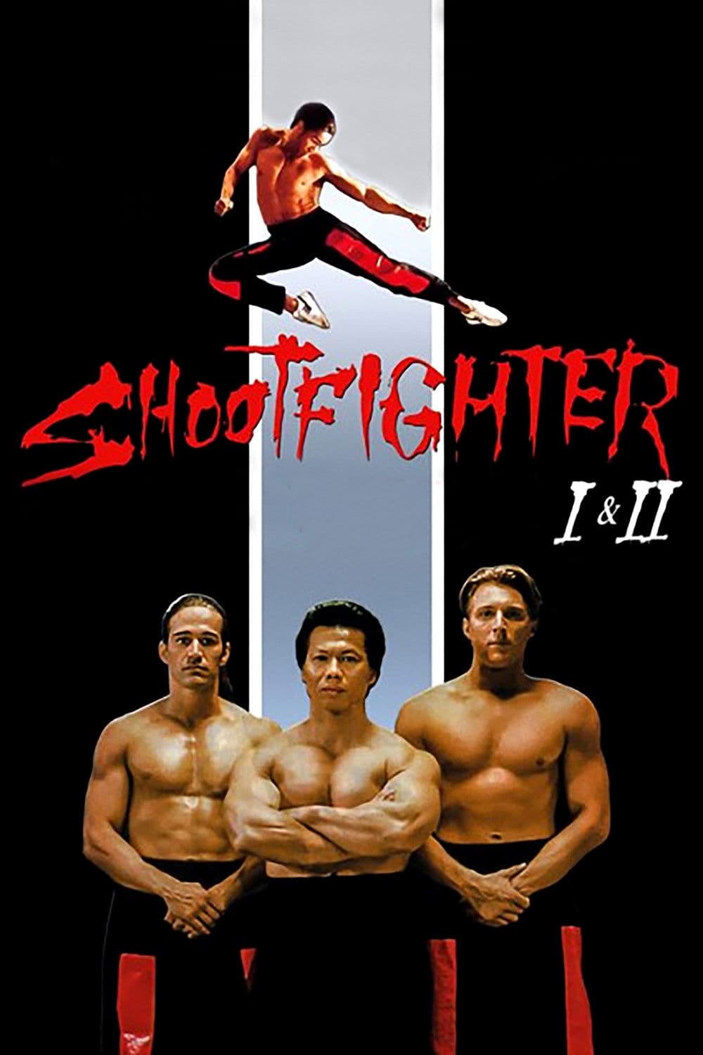 Poster of Shootfighter Collection