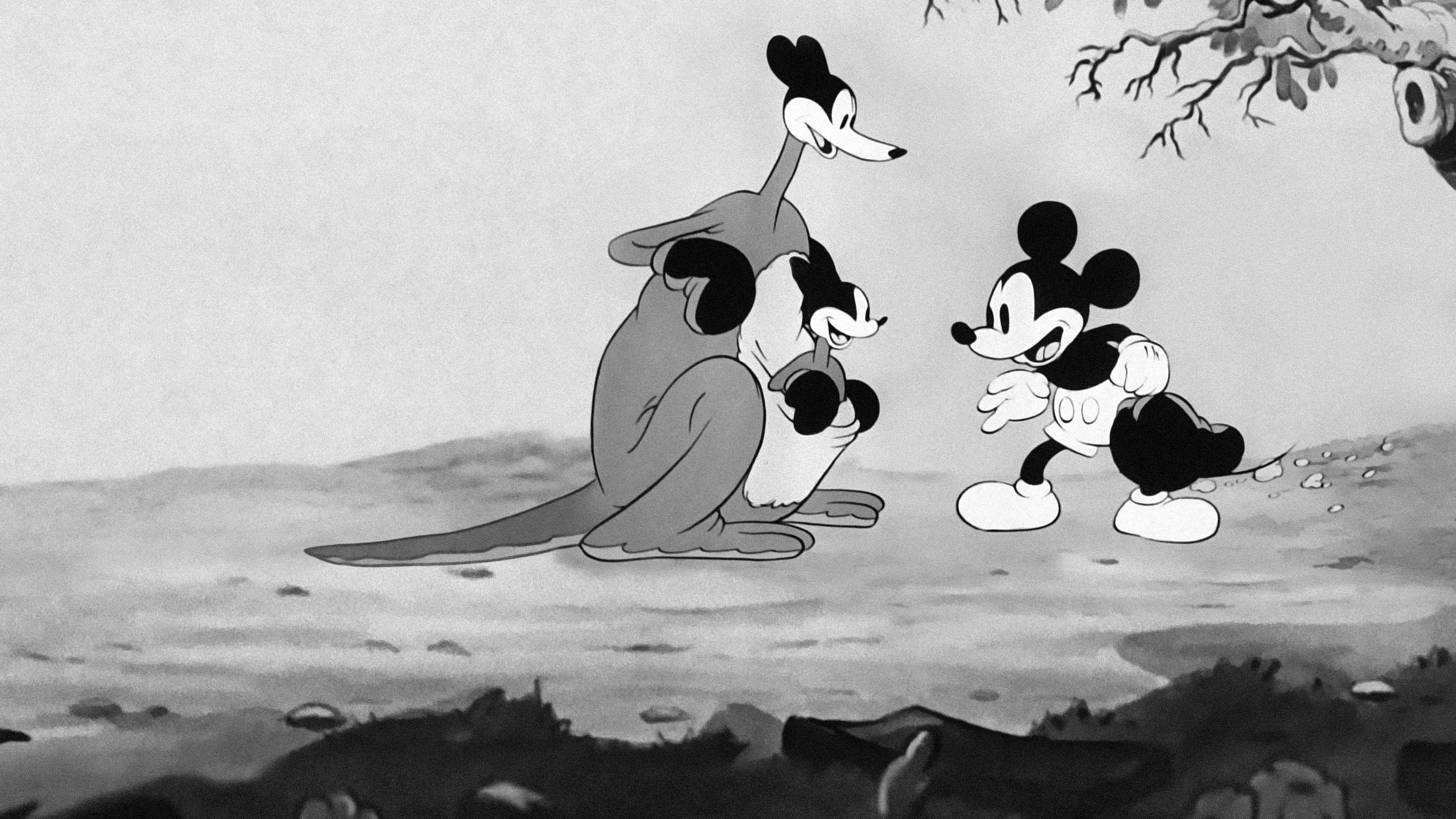 Backdrop of Mickey's Kangaroo
