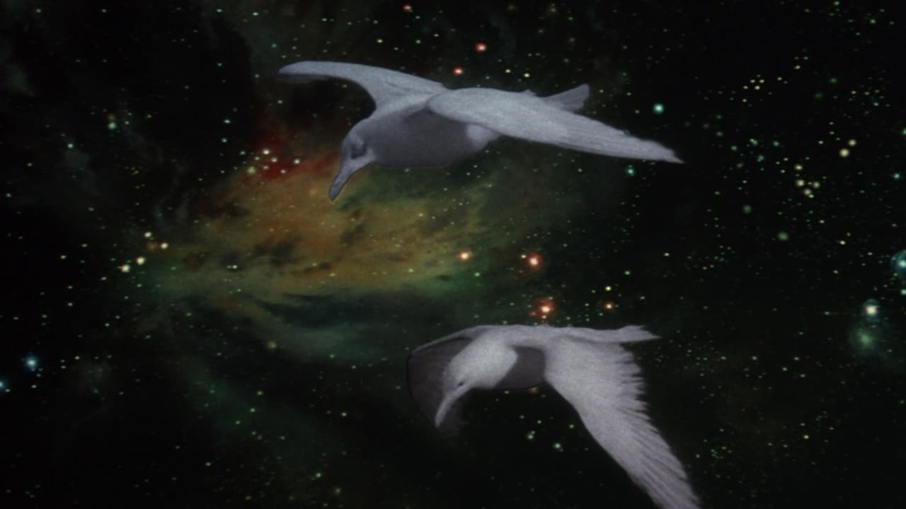 Backdrop of Jonathan Livingston Seagull