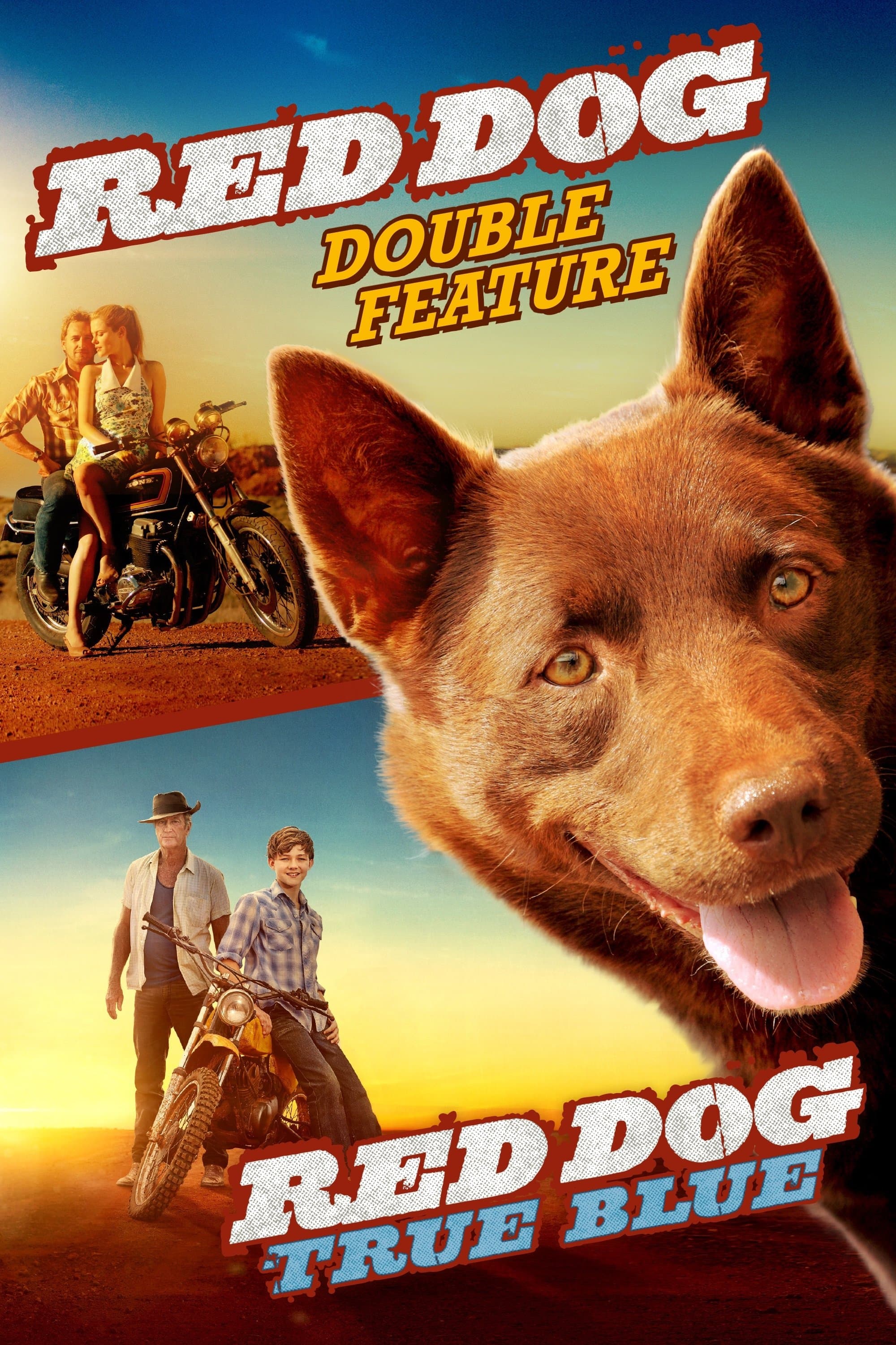 Poster of Red Dog Collection