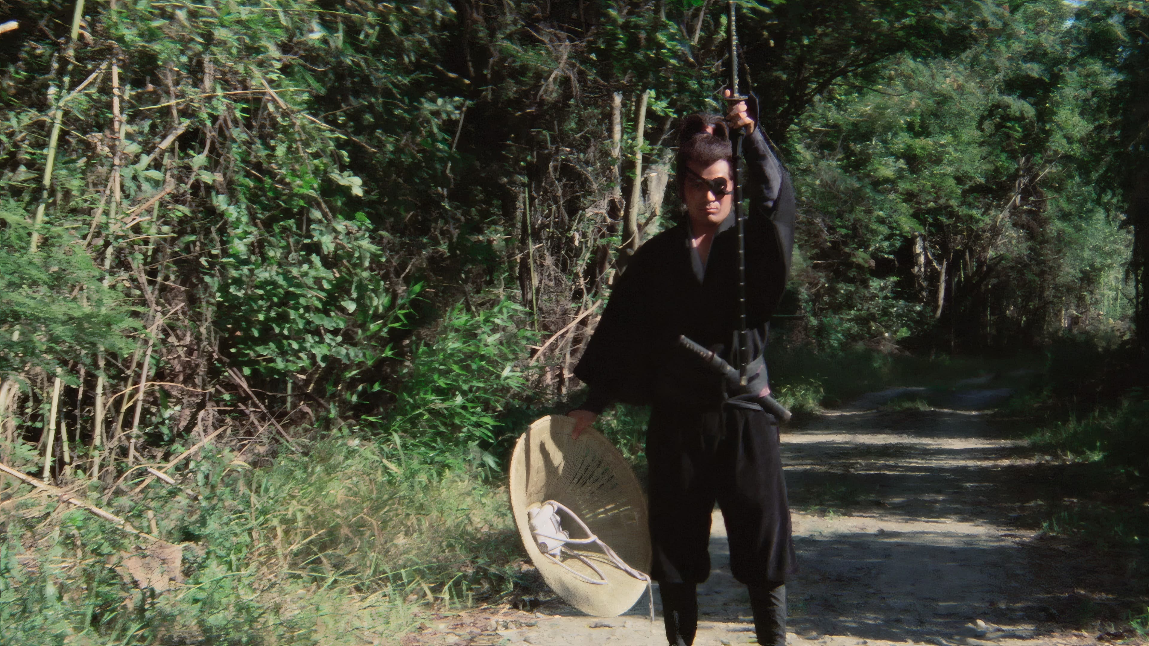 Backdrop of Shogun's Samurai