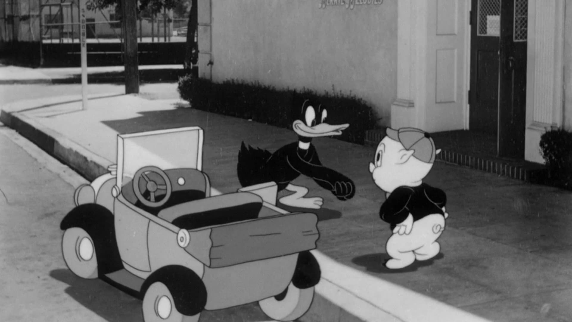 Backdrop of You Ought to Be in Pictures