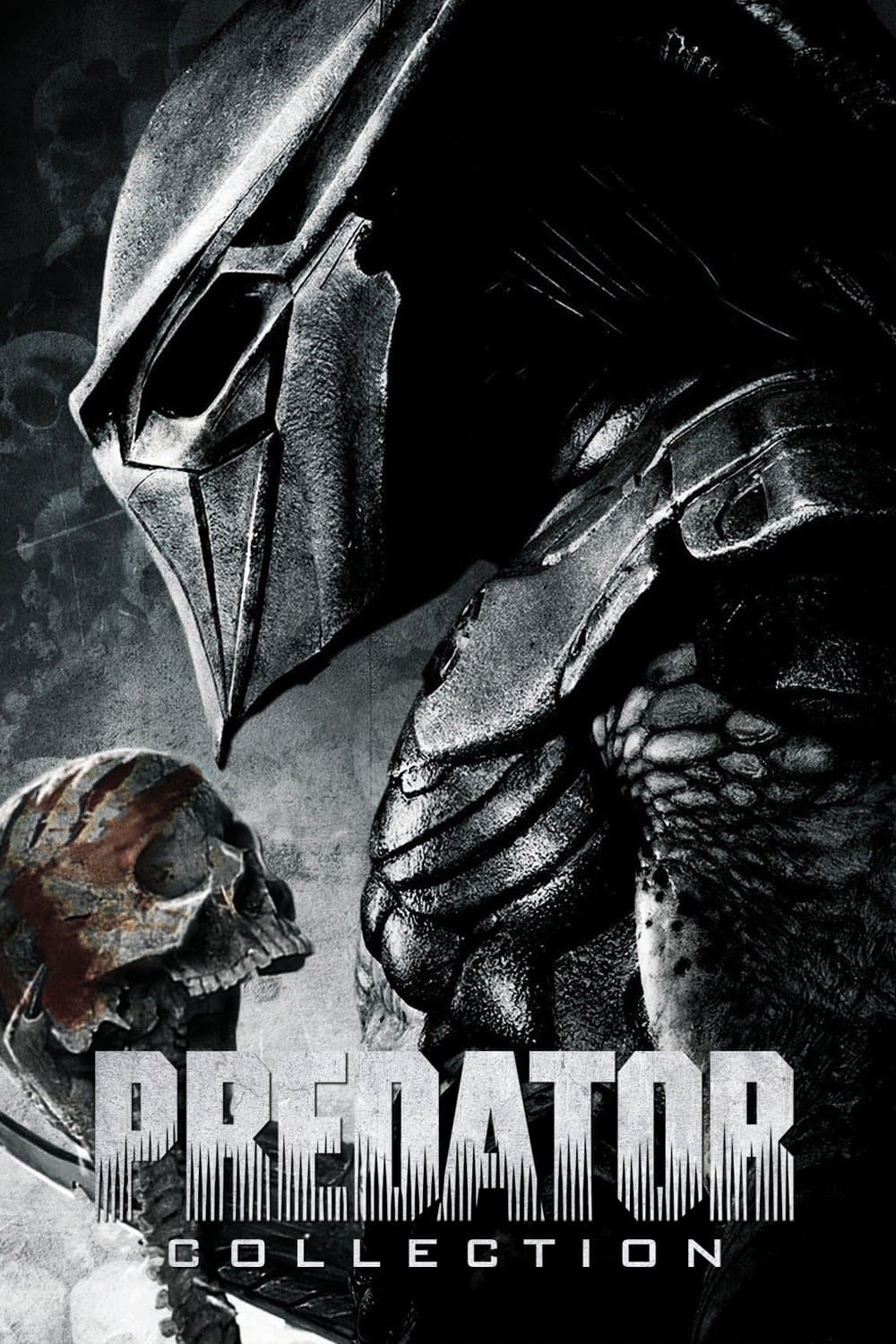 Poster of Predator Collection