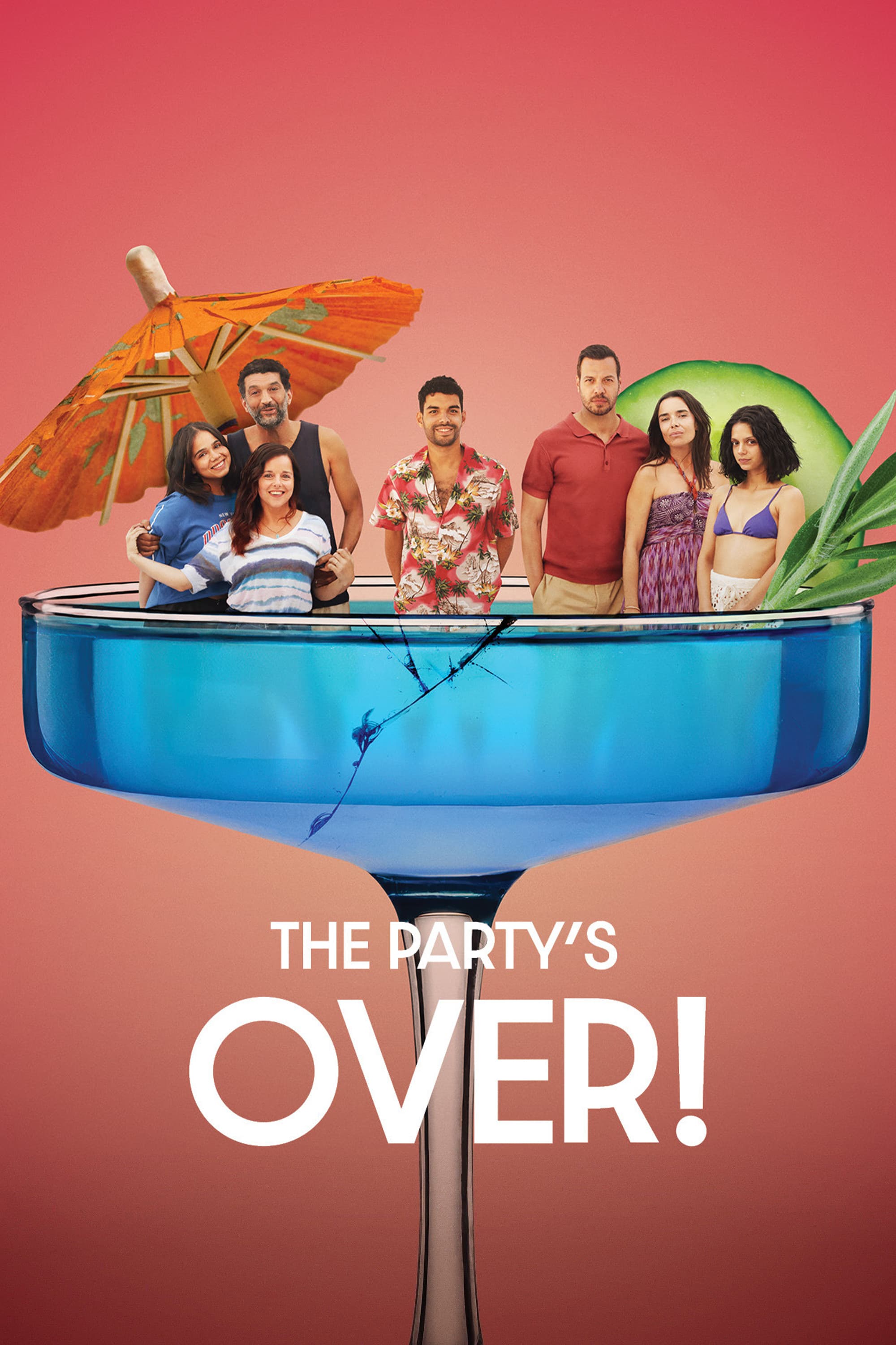 Poster of The Party's Over!