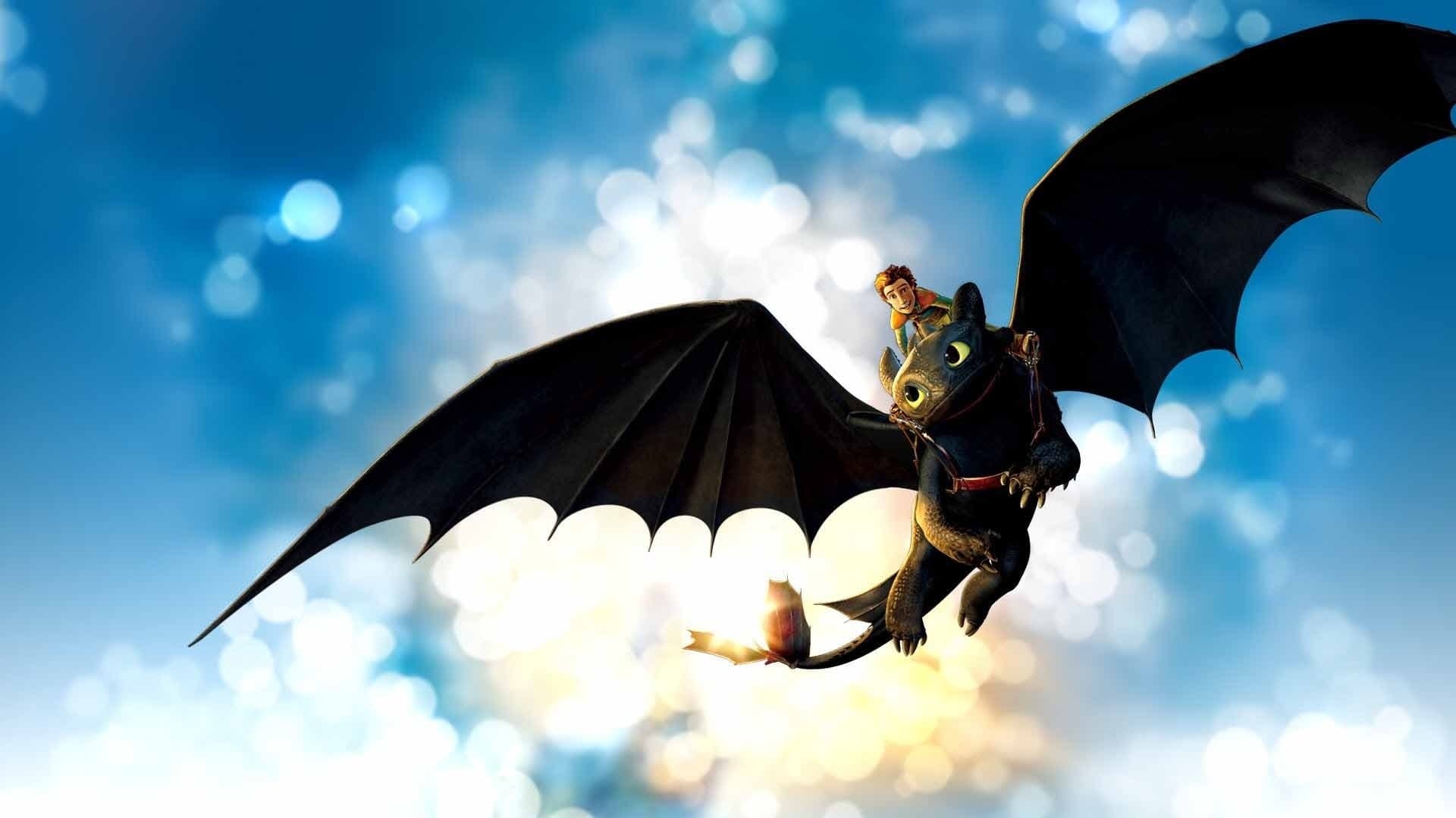 Backdrop of How to Train Your Dragon Collection