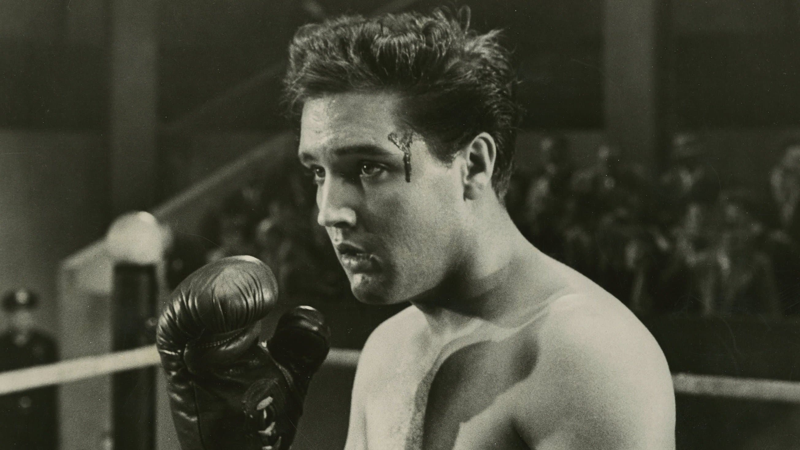Backdrop of Kid Galahad