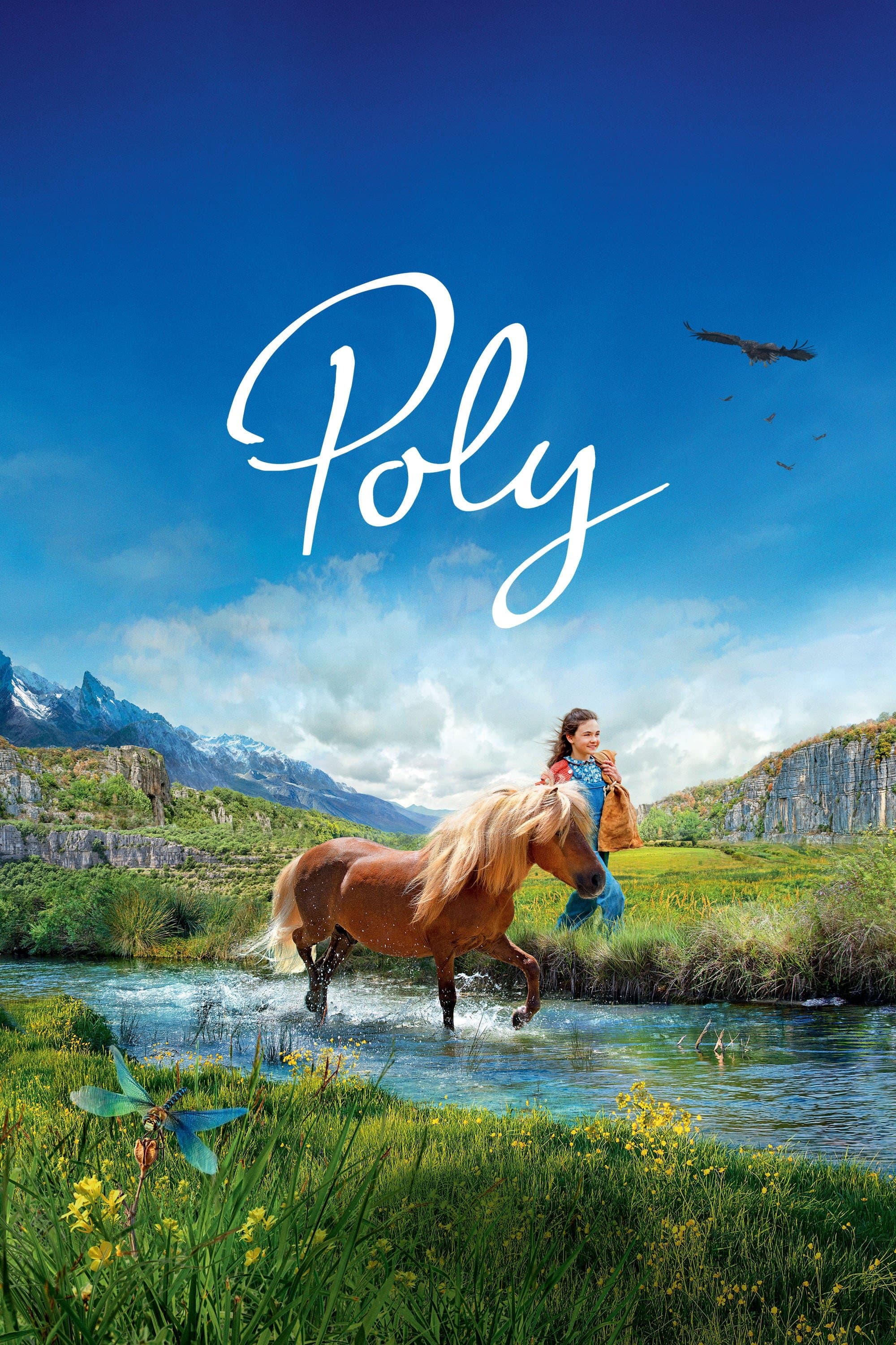 Poster of Poly