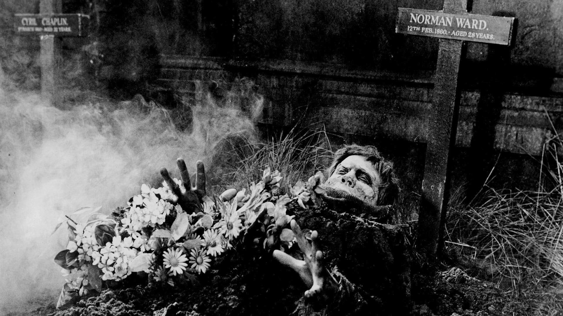 Backdrop of The Plague of the Zombies