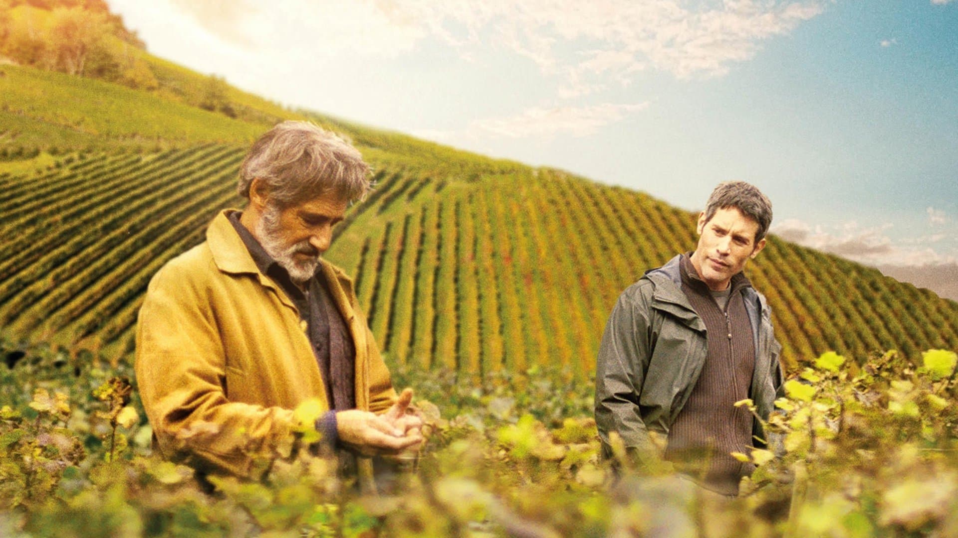 Backdrop of First Growth