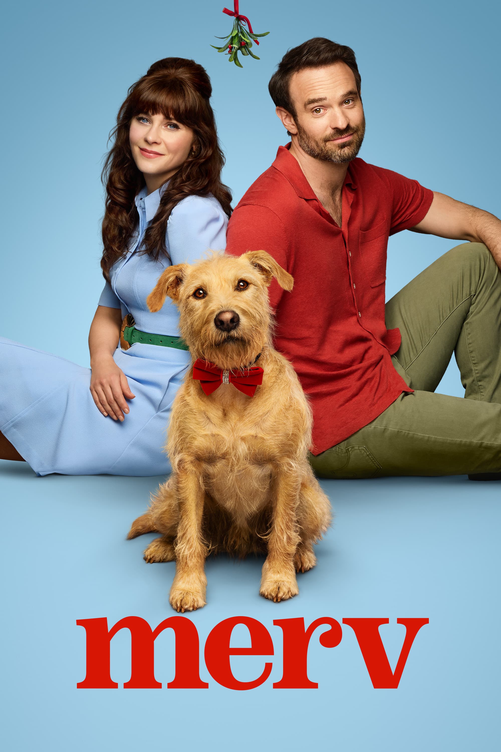 Poster of Merv