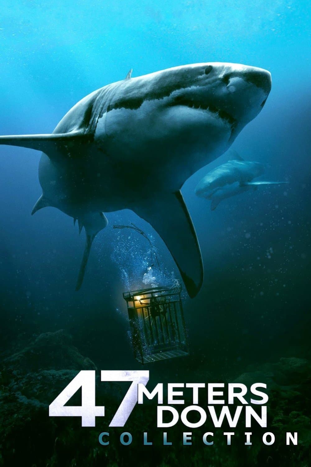 Poster of 47 Meters Down Collection