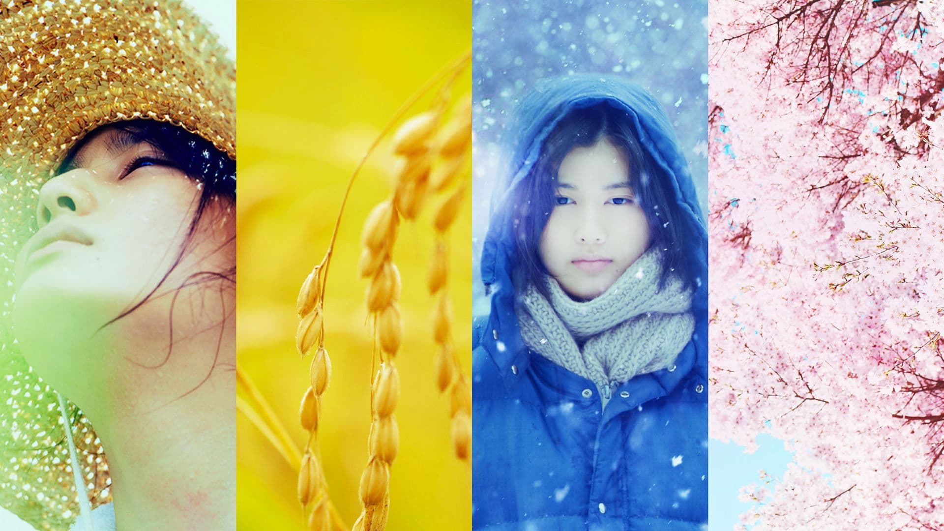 Backdrop of Little Forest: Four Seasons