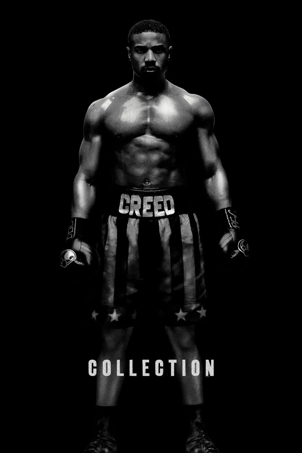 Poster of Creed Collection