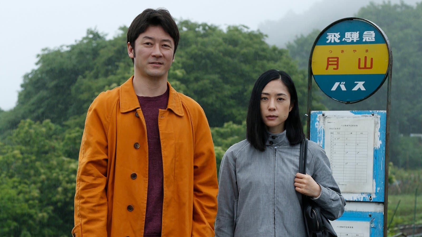 Backdrop of Journey to the Shore