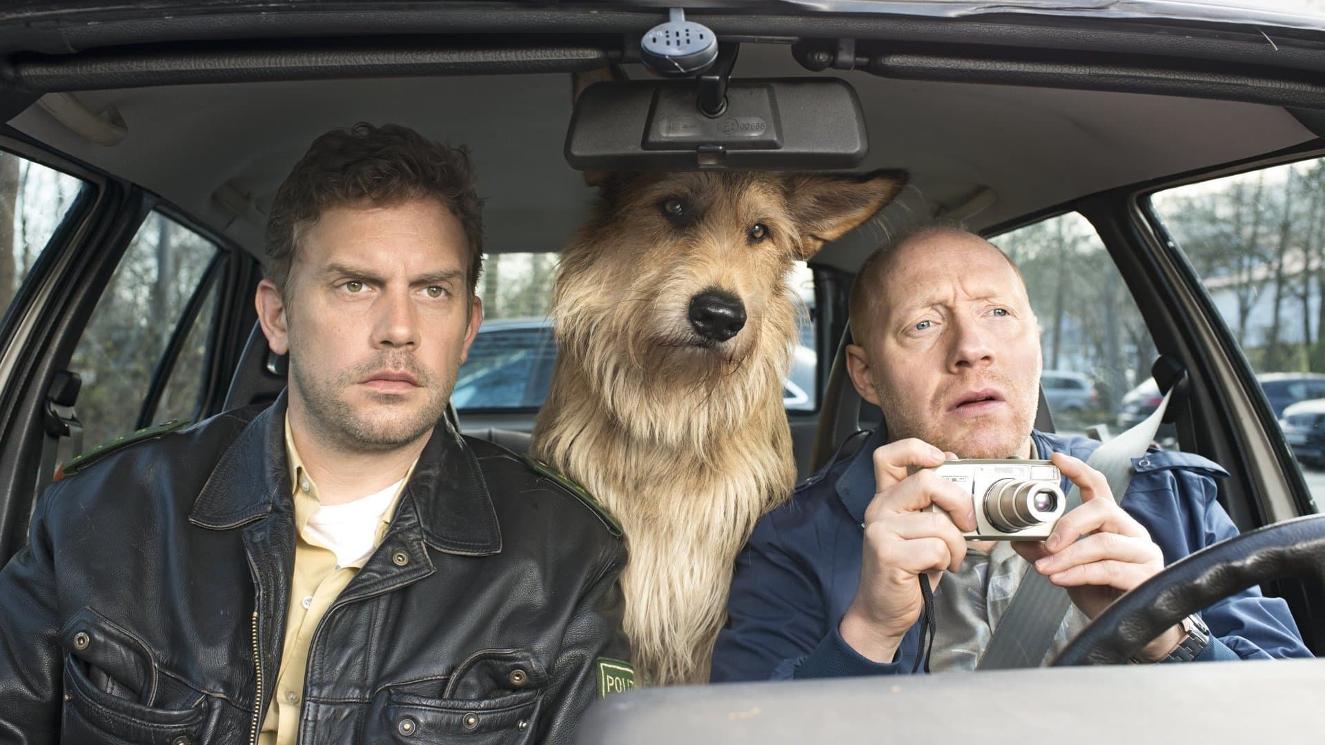 Backdrop of The Dumpling Affair