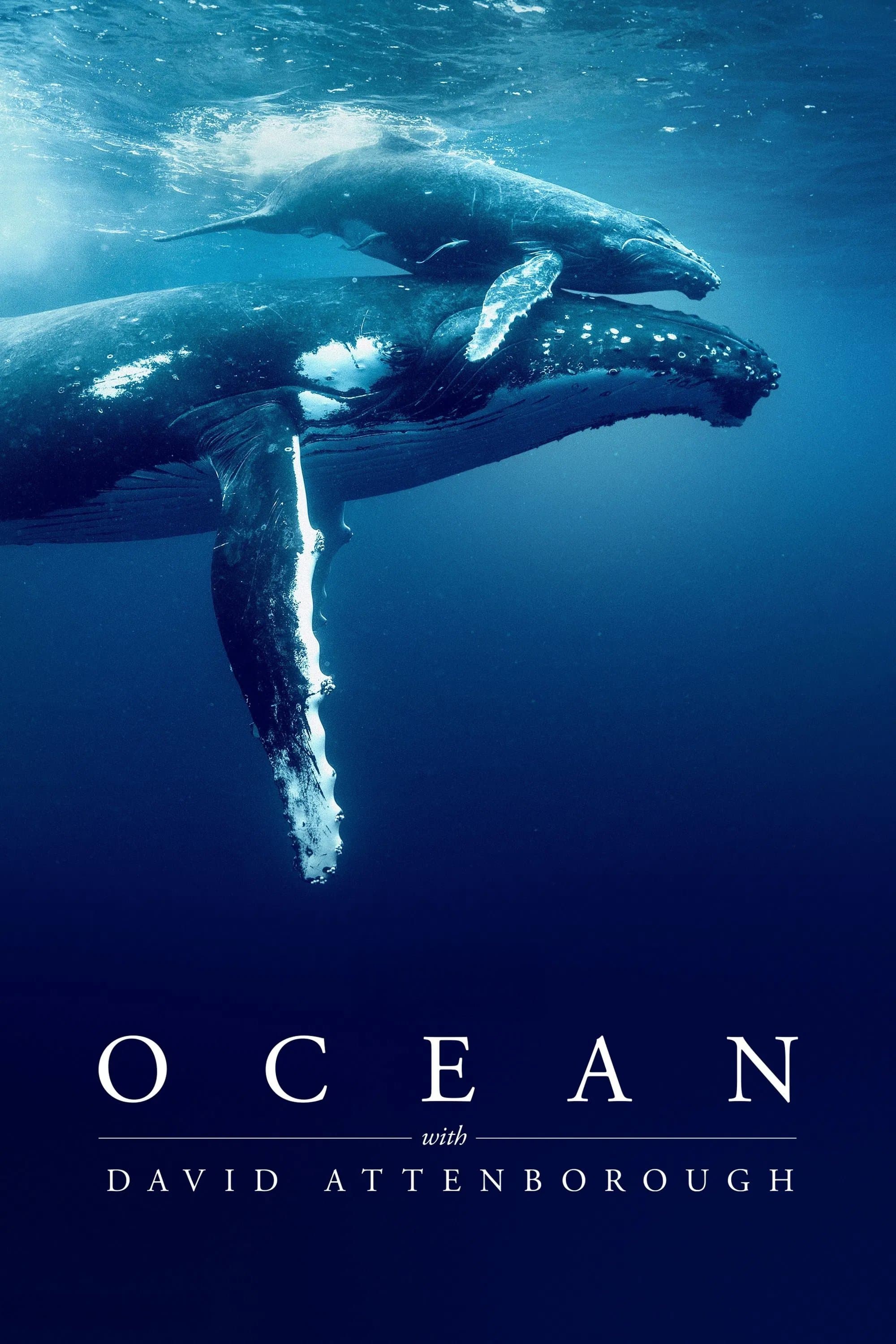 Poster of Ocean with David Attenborough