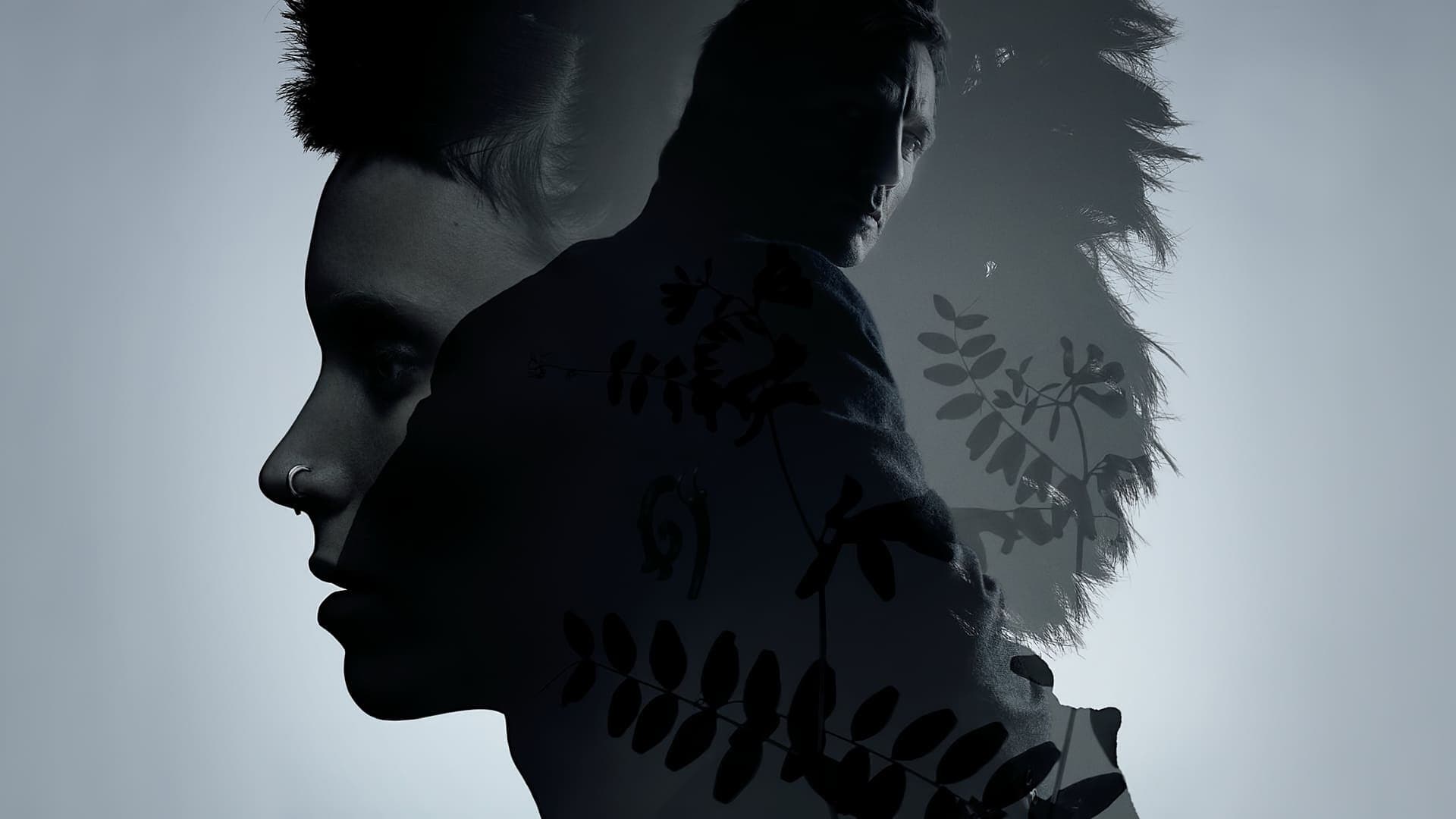 Backdrop of Millennium Collection