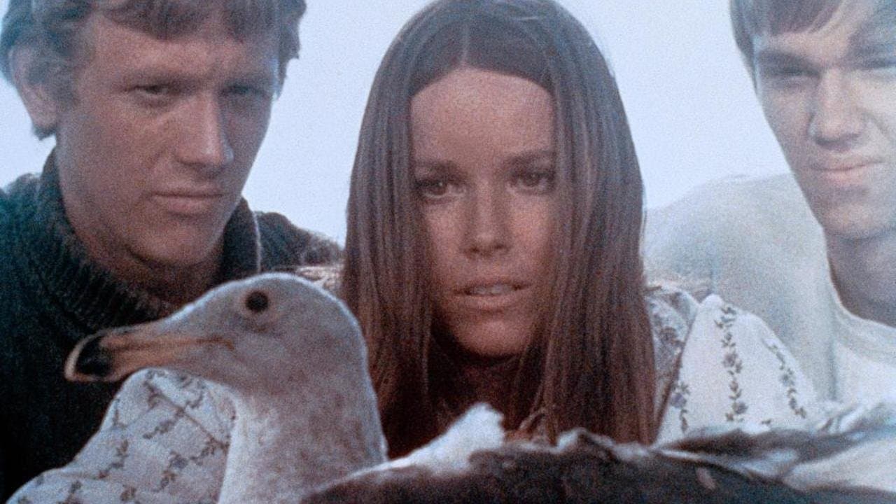 Backdrop of Last Summer