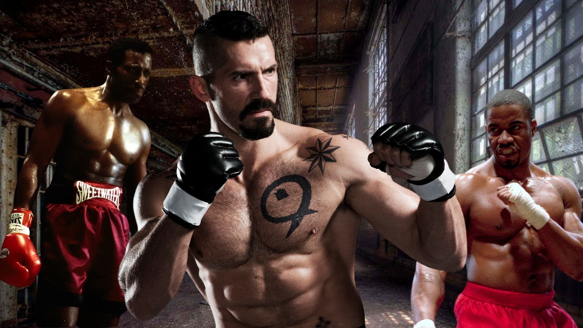 Backdrop of Undisputed Collection