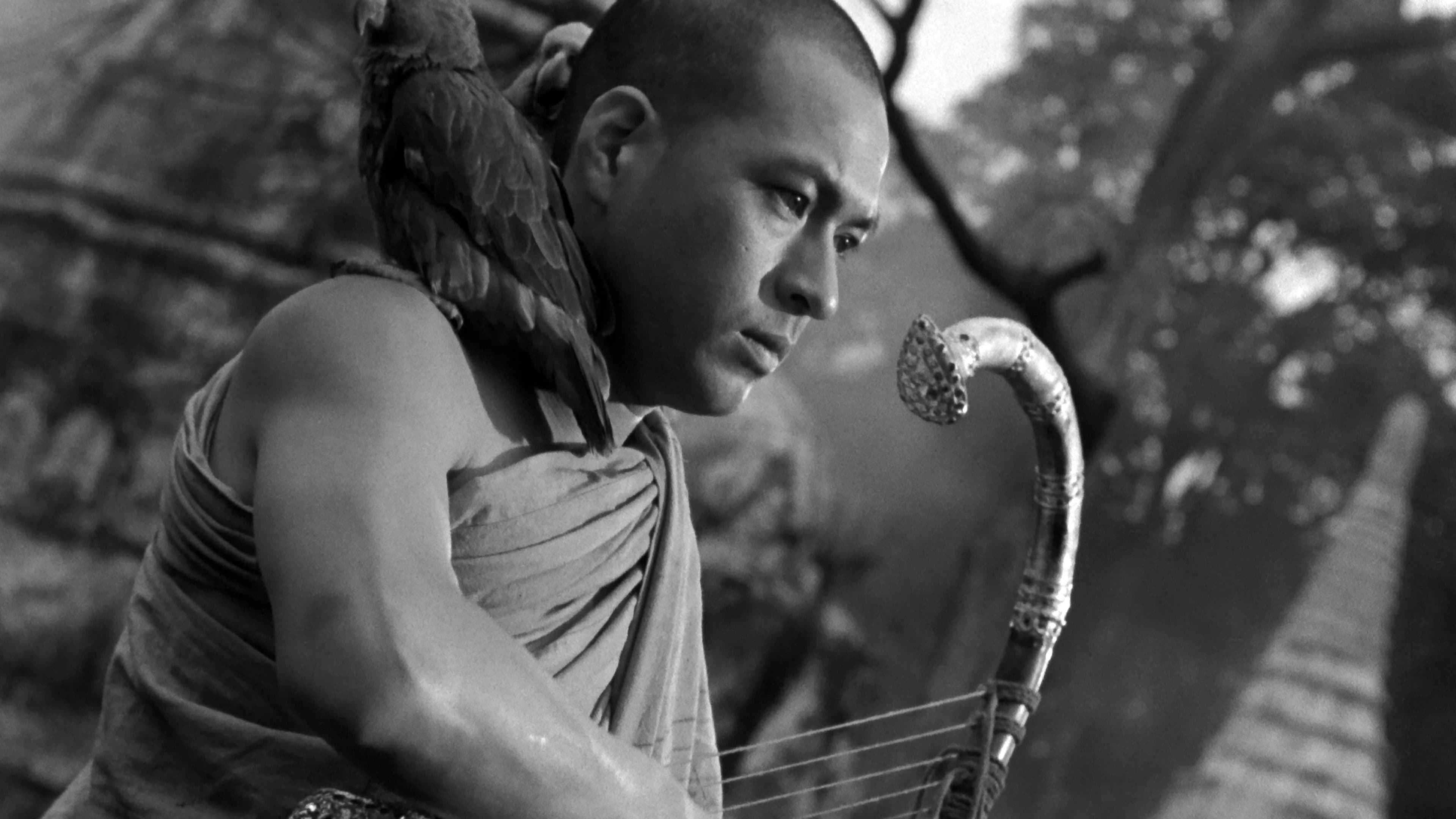 Backdrop of The Burmese Harp