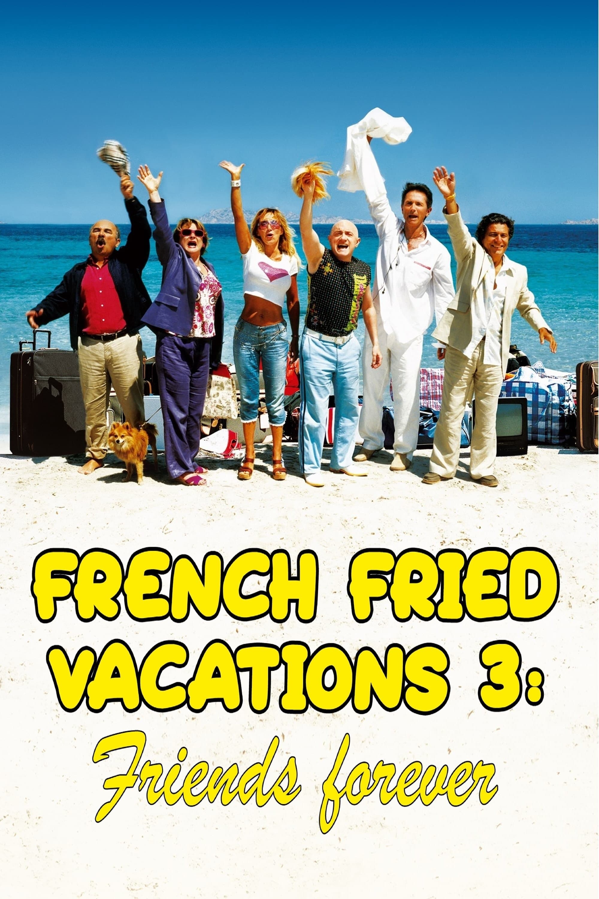 Poster of French Fried Vacations 3: Friends Forever