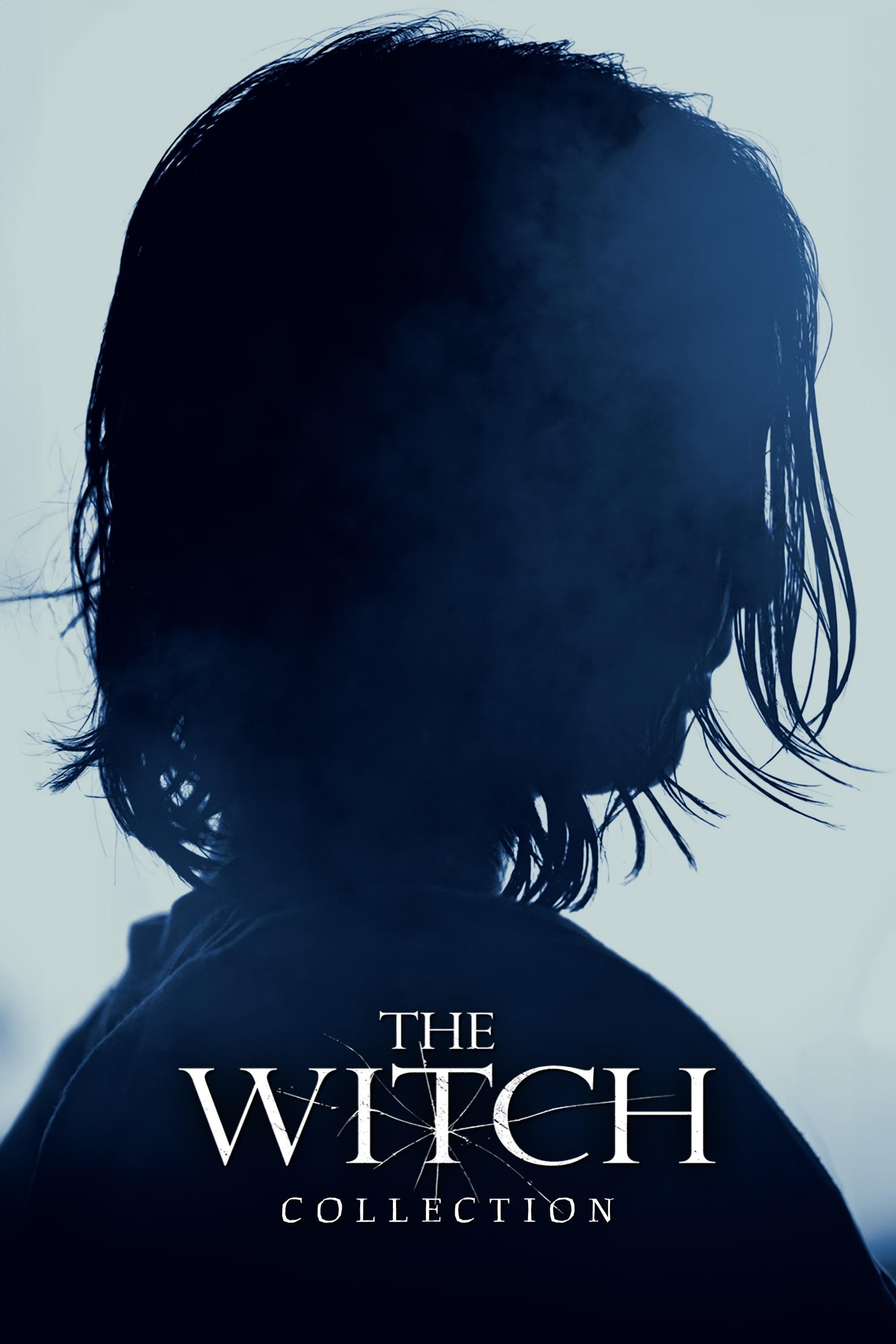 Poster of The Witch Collection