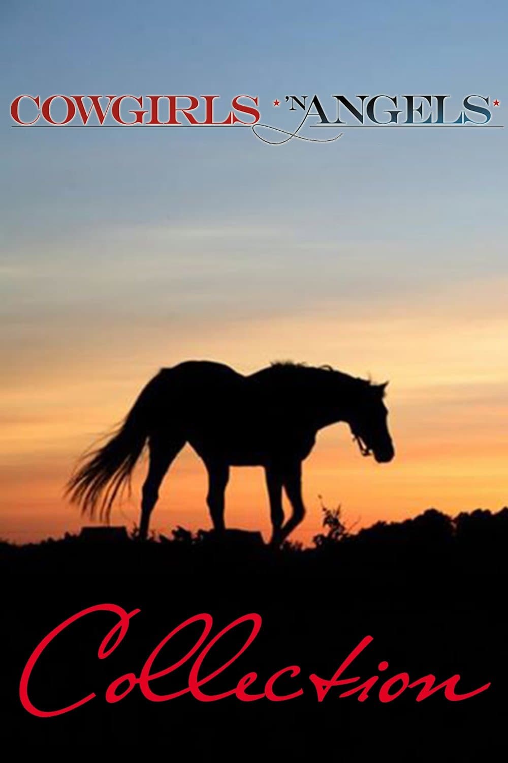Poster of Cowgirls n' Angels Collection