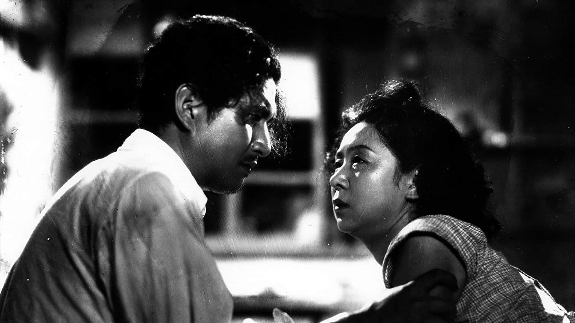 Backdrop of A Hen in the Wind