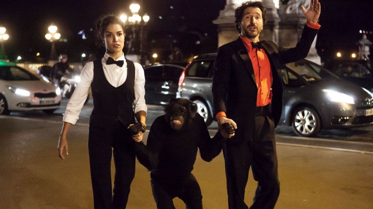 Backdrop of Open at Night