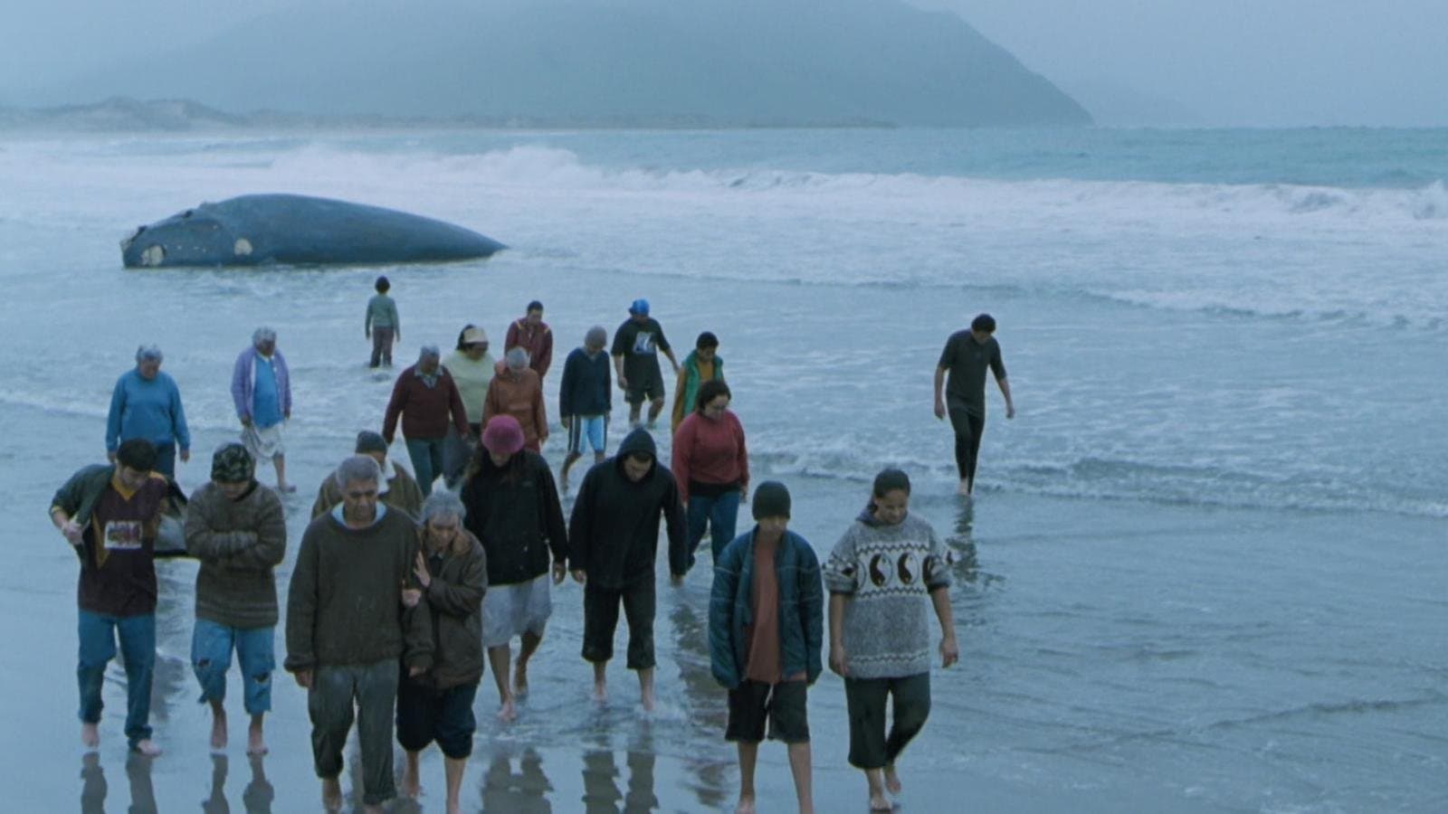 Backdrop of Whale Rider