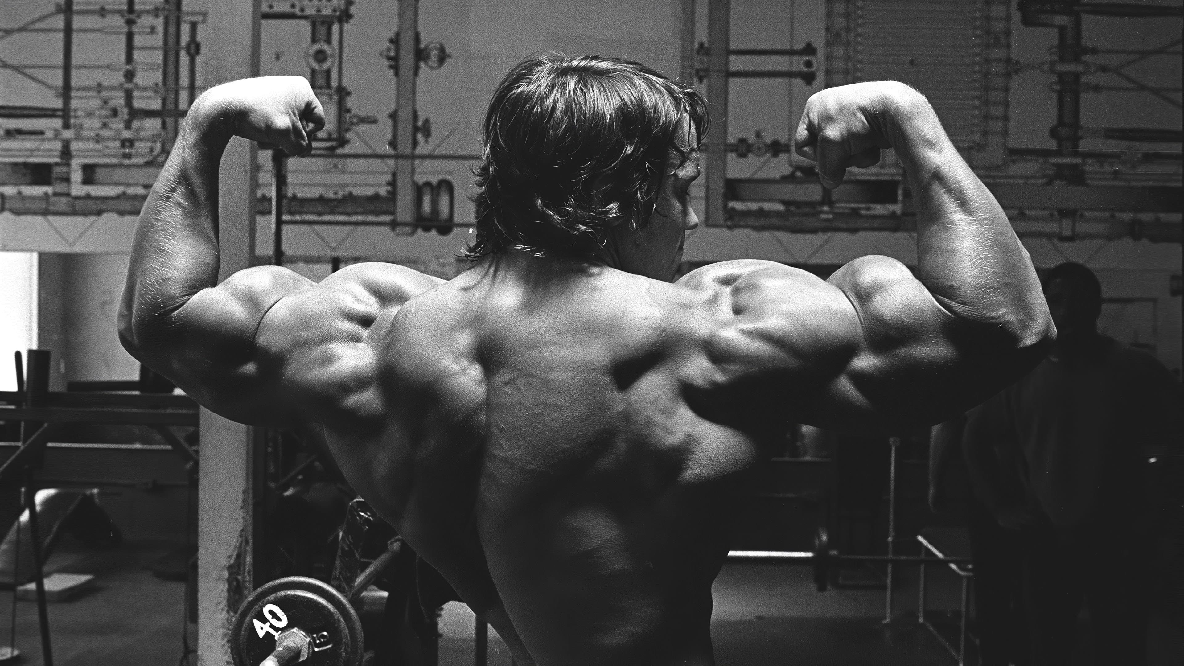 Backdrop of Pumping Iron