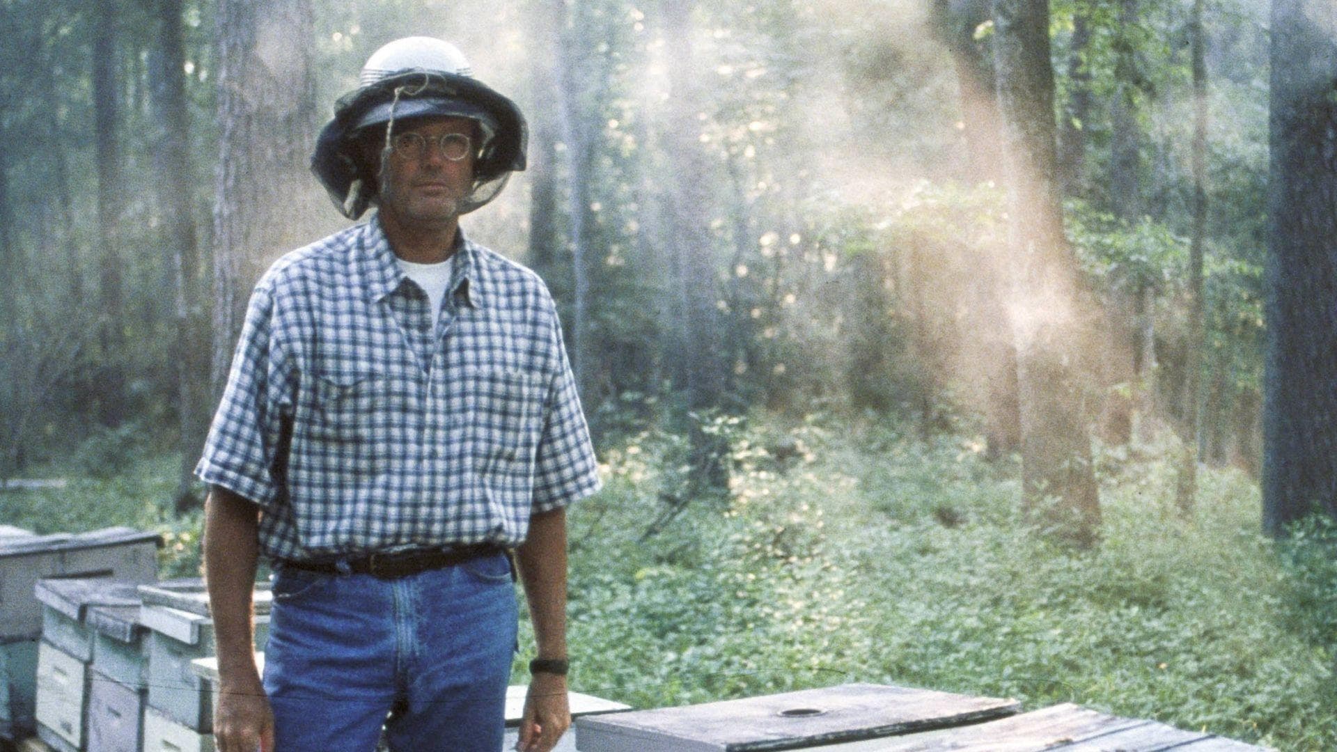 Backdrop of Ulee's Gold