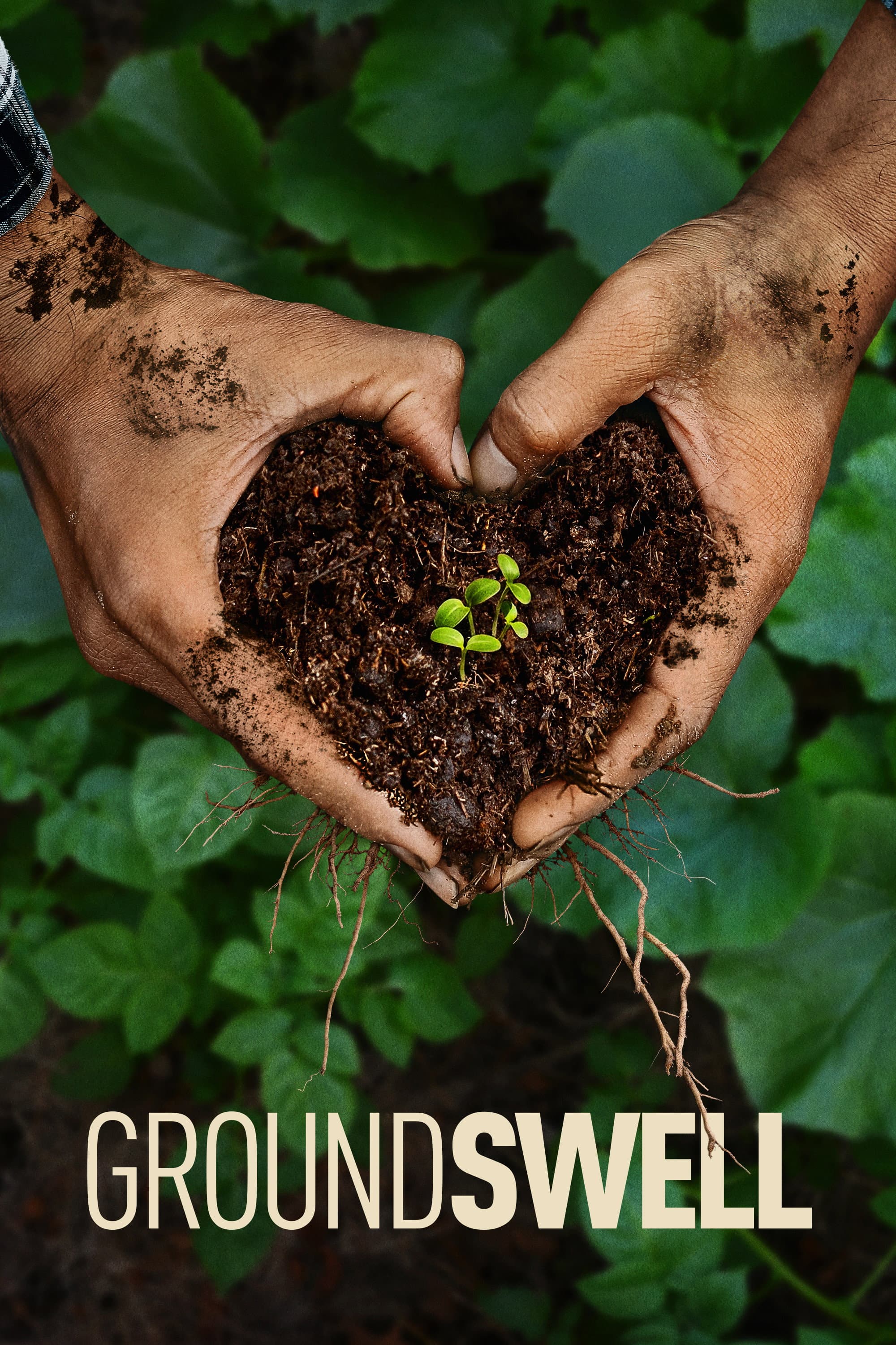 Poster of Groundswell