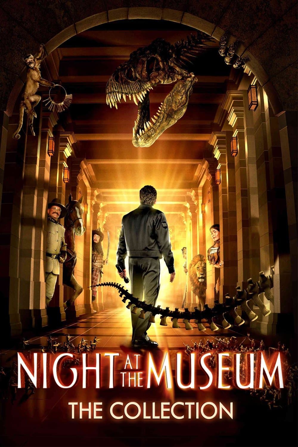 Poster of Night at the Museum Collection