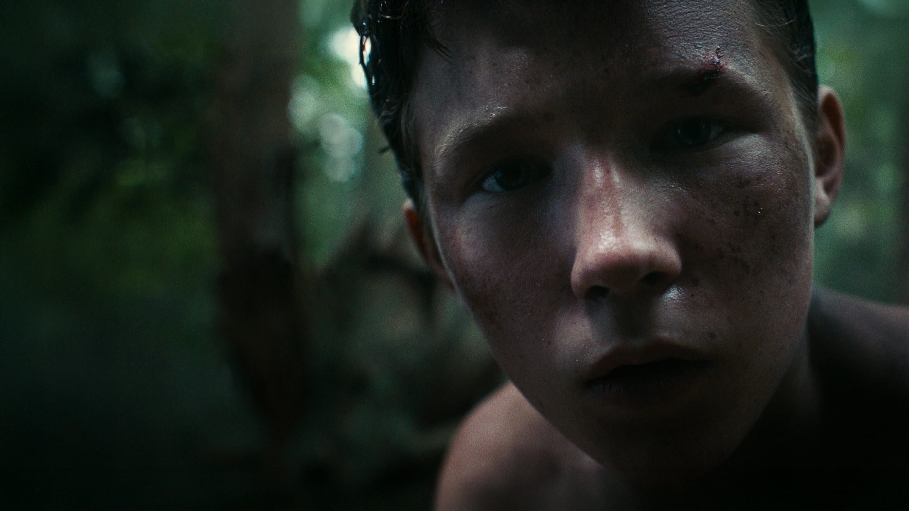 Backdrop of Lost on a Mountain in Maine