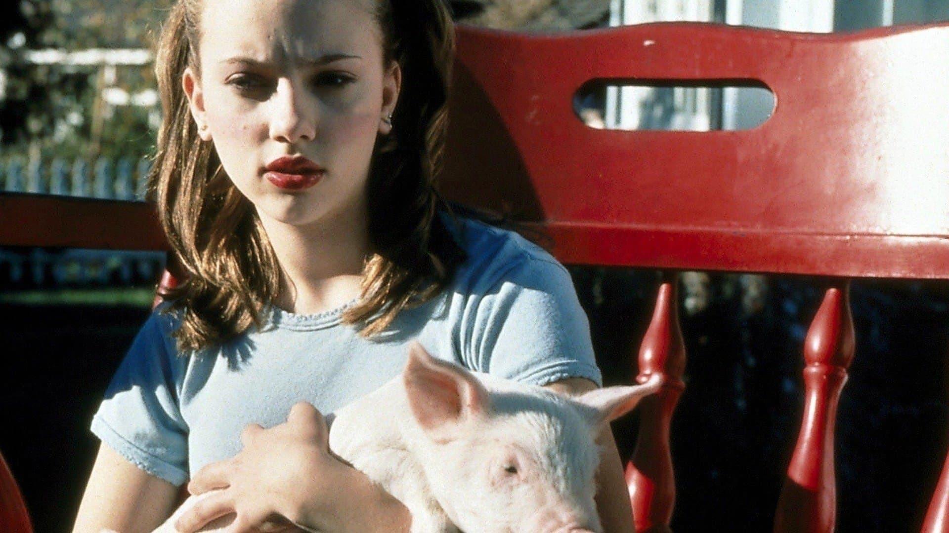 Backdrop of My Brother the Pig