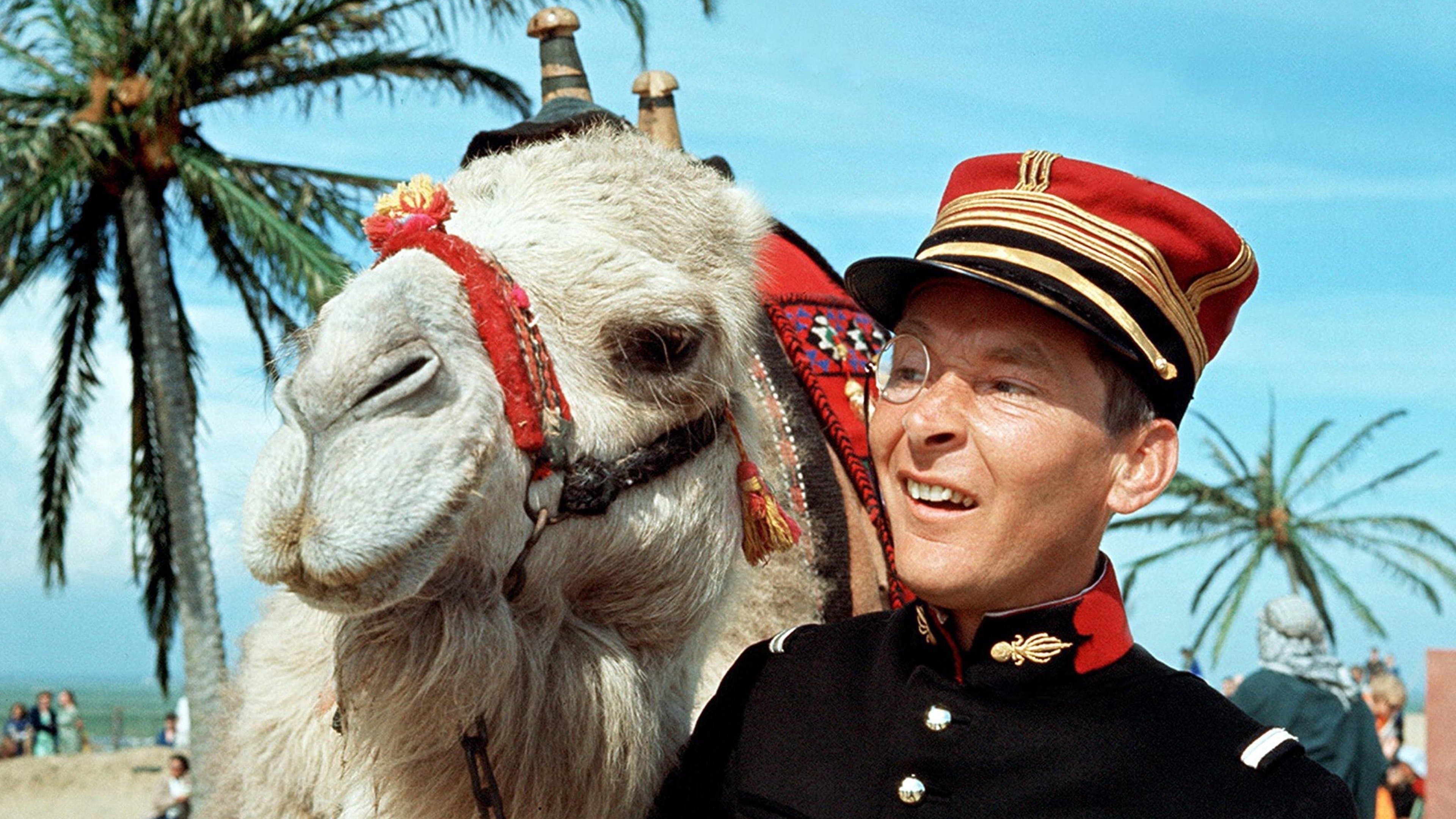 Backdrop of Follow That Camel