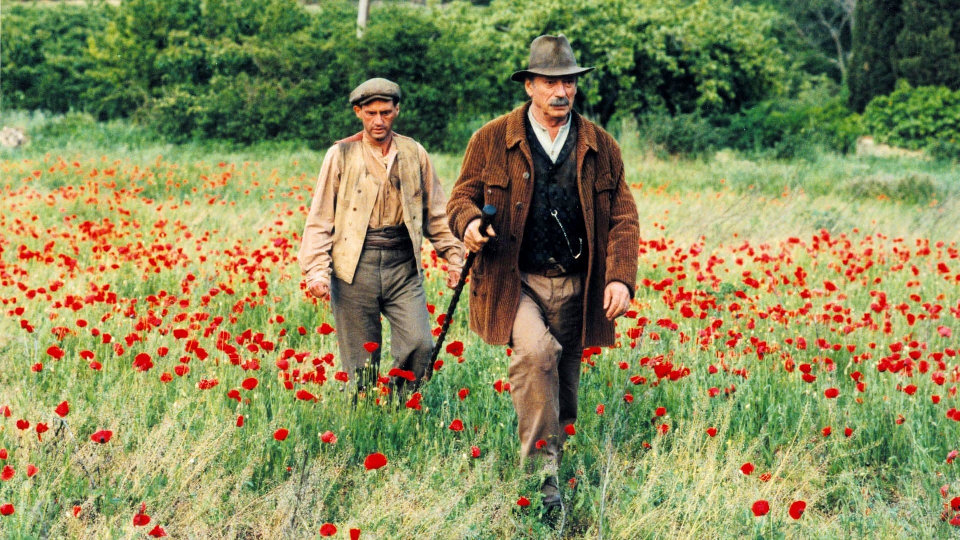 Backdrop of Jean de Florette