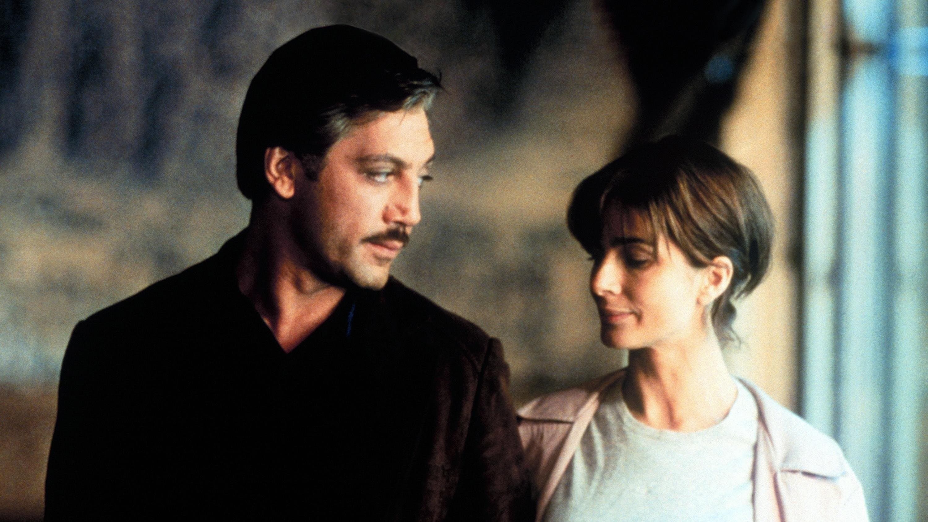 Backdrop of The Dancer Upstairs