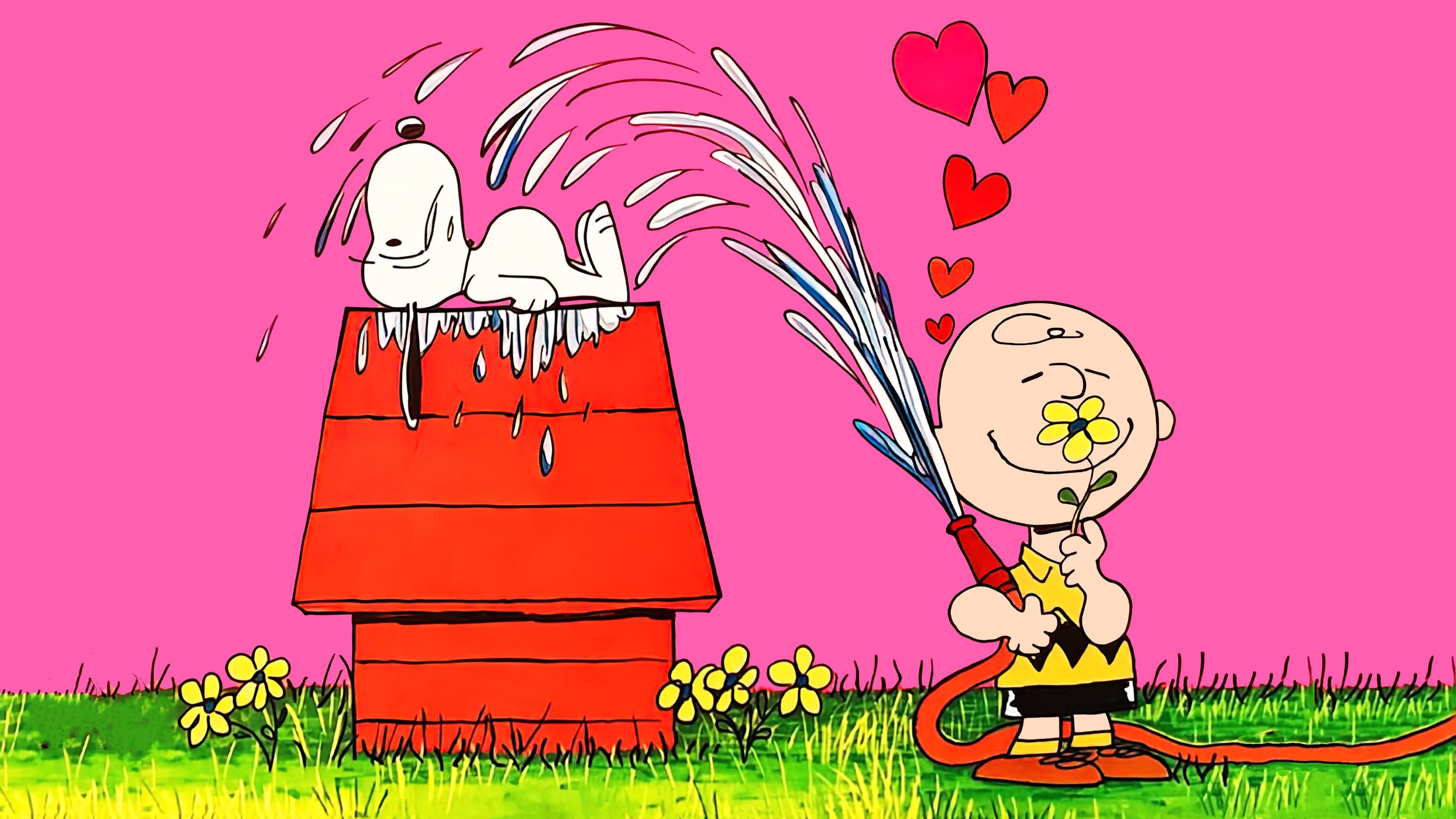 Backdrop of You're in Love, Charlie Brown