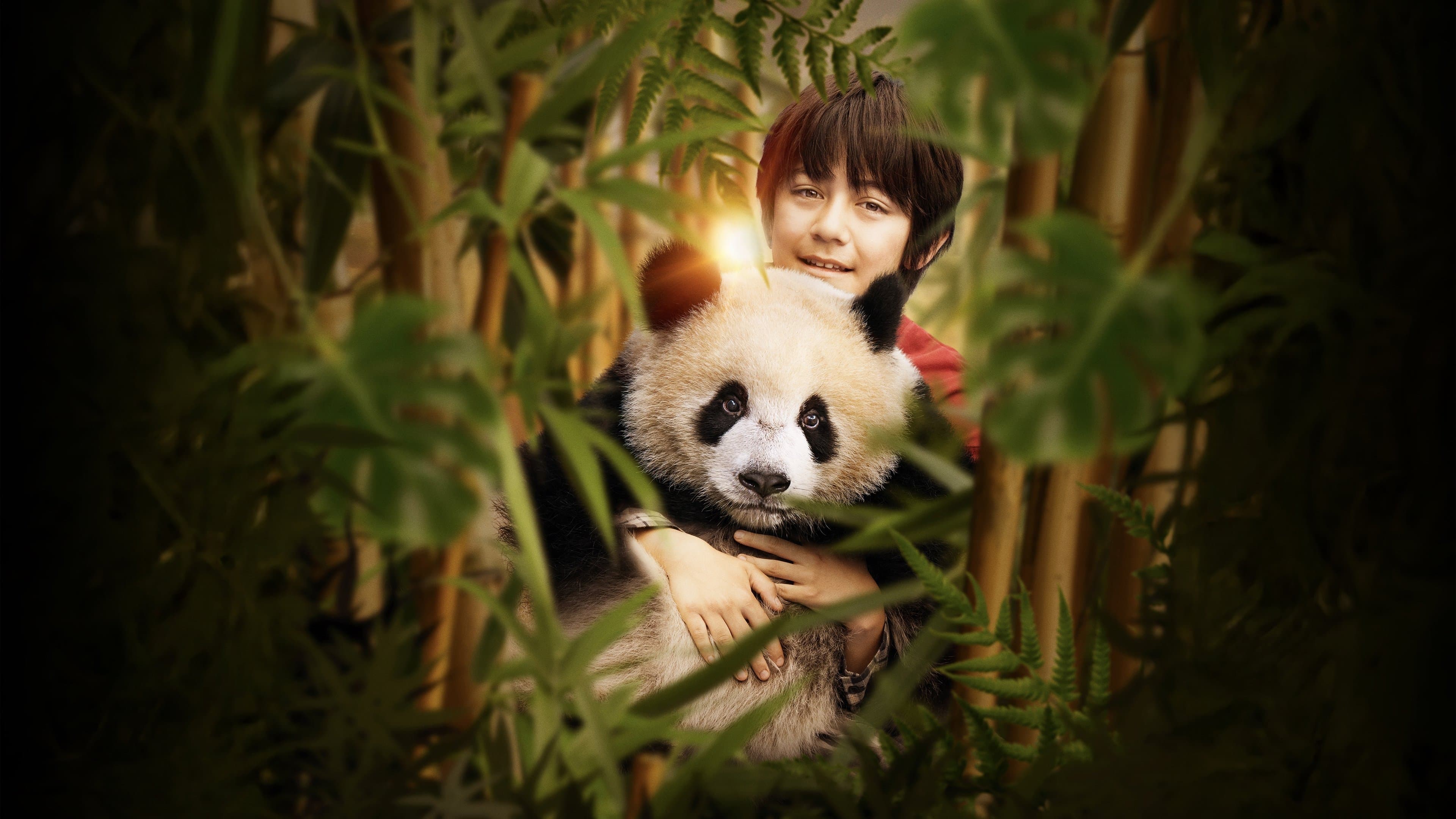 Backdrop of Moon the Panda
