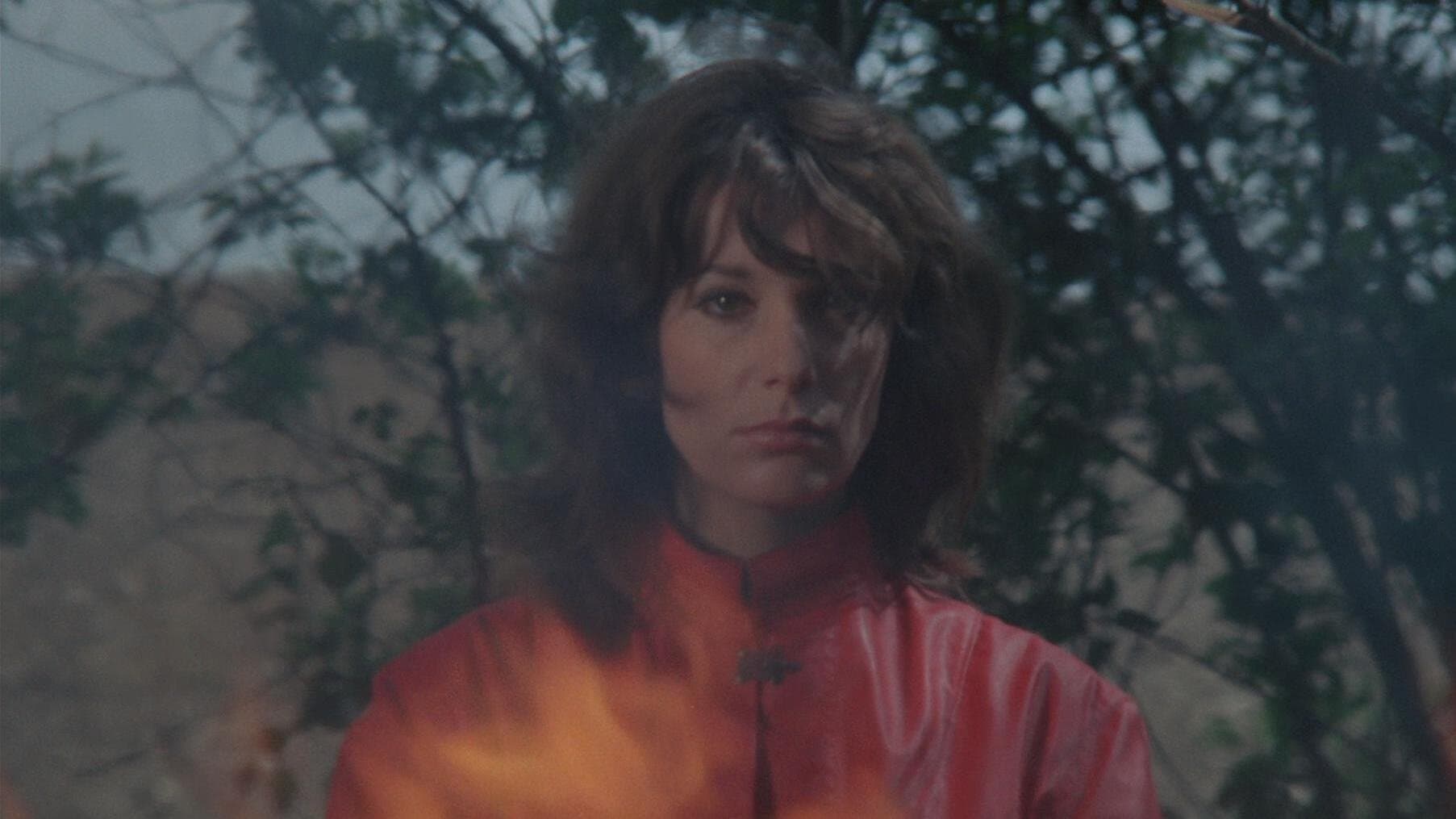 Backdrop of A Very Curious Girl