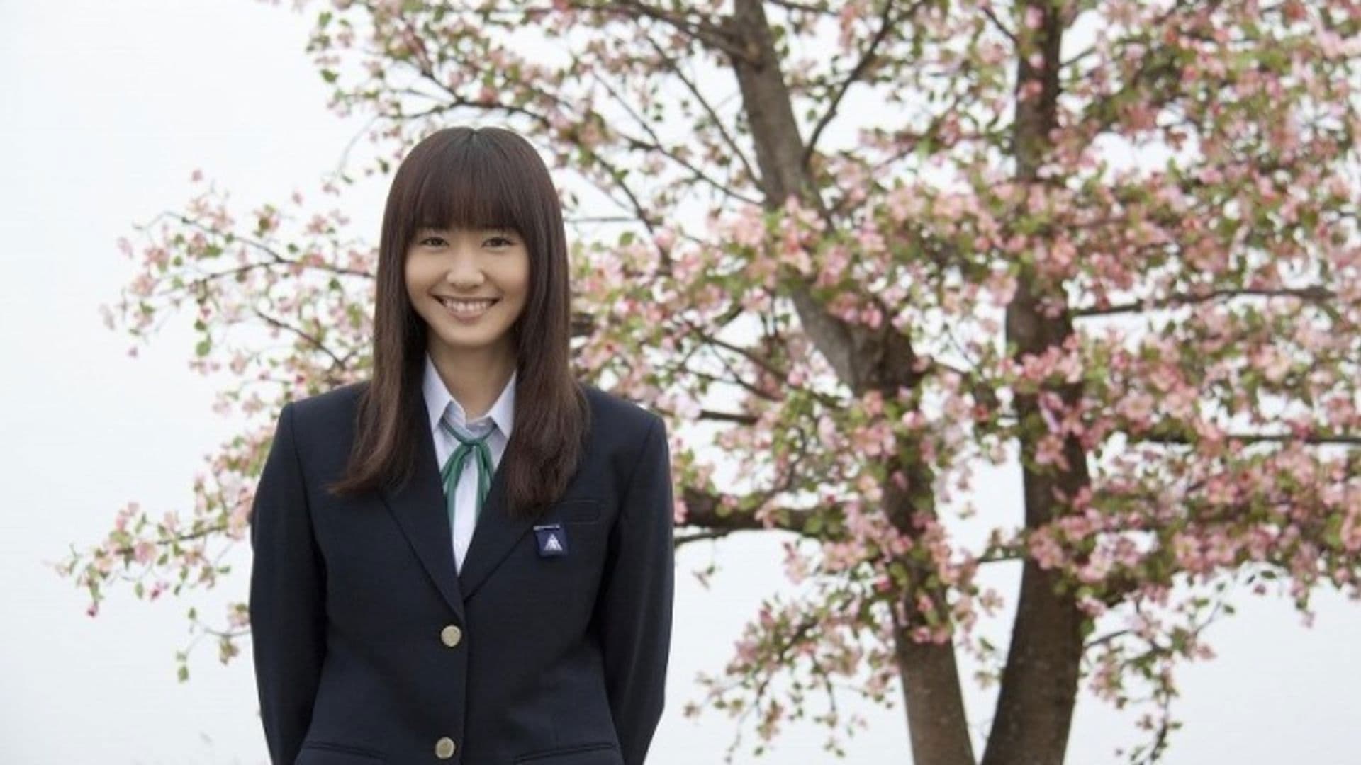 Backdrop of Dogwood Tree