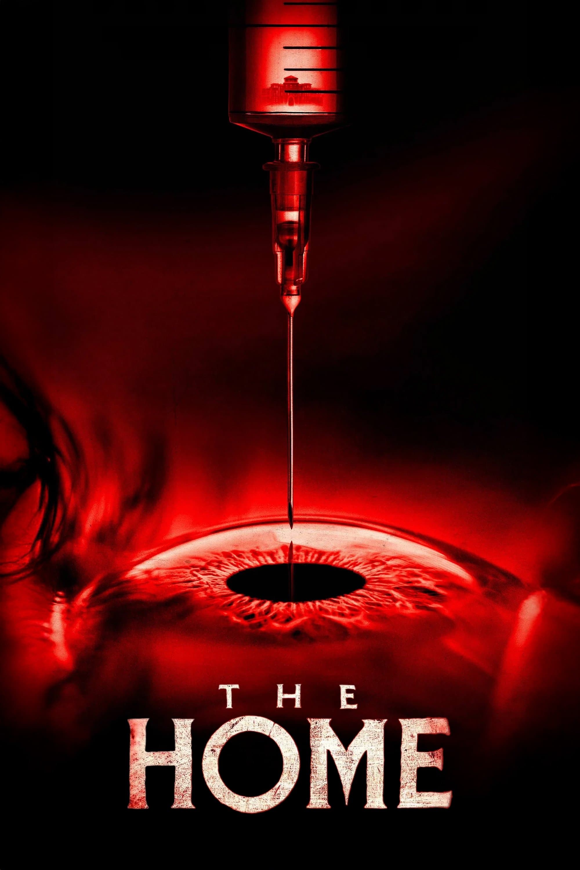 Poster of The Home