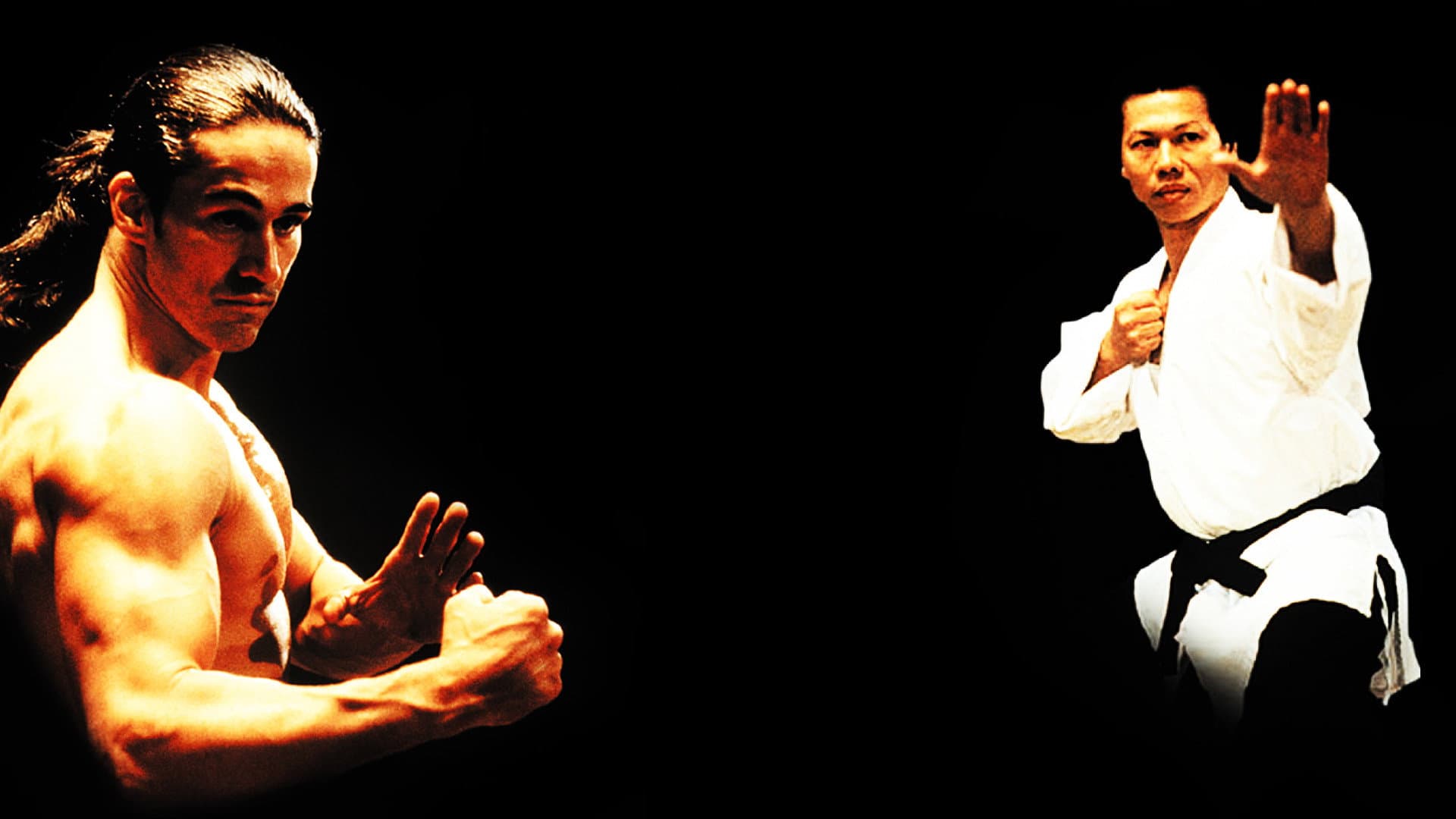 Backdrop of Shootfighter Collection