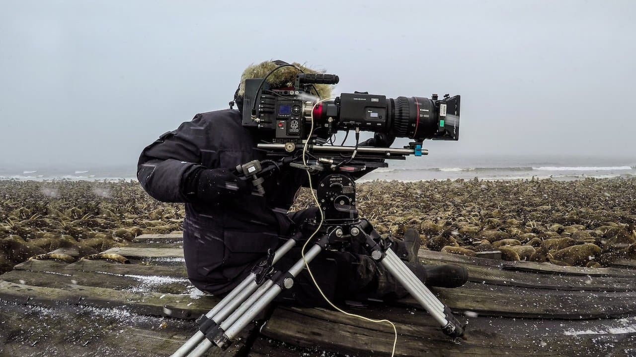 Backdrop of Our Planet: Behind the Scenes