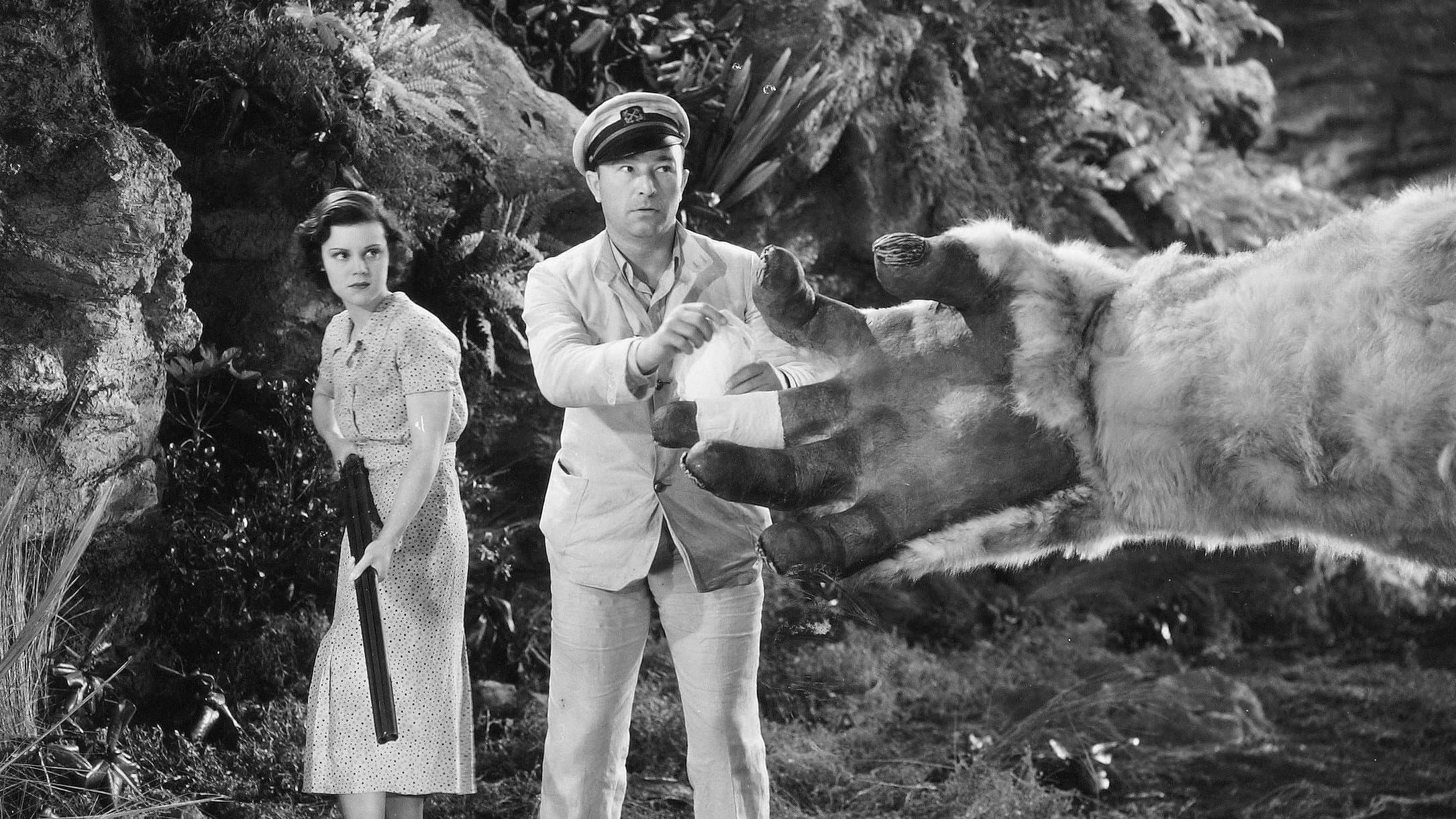Backdrop of The Son of Kong