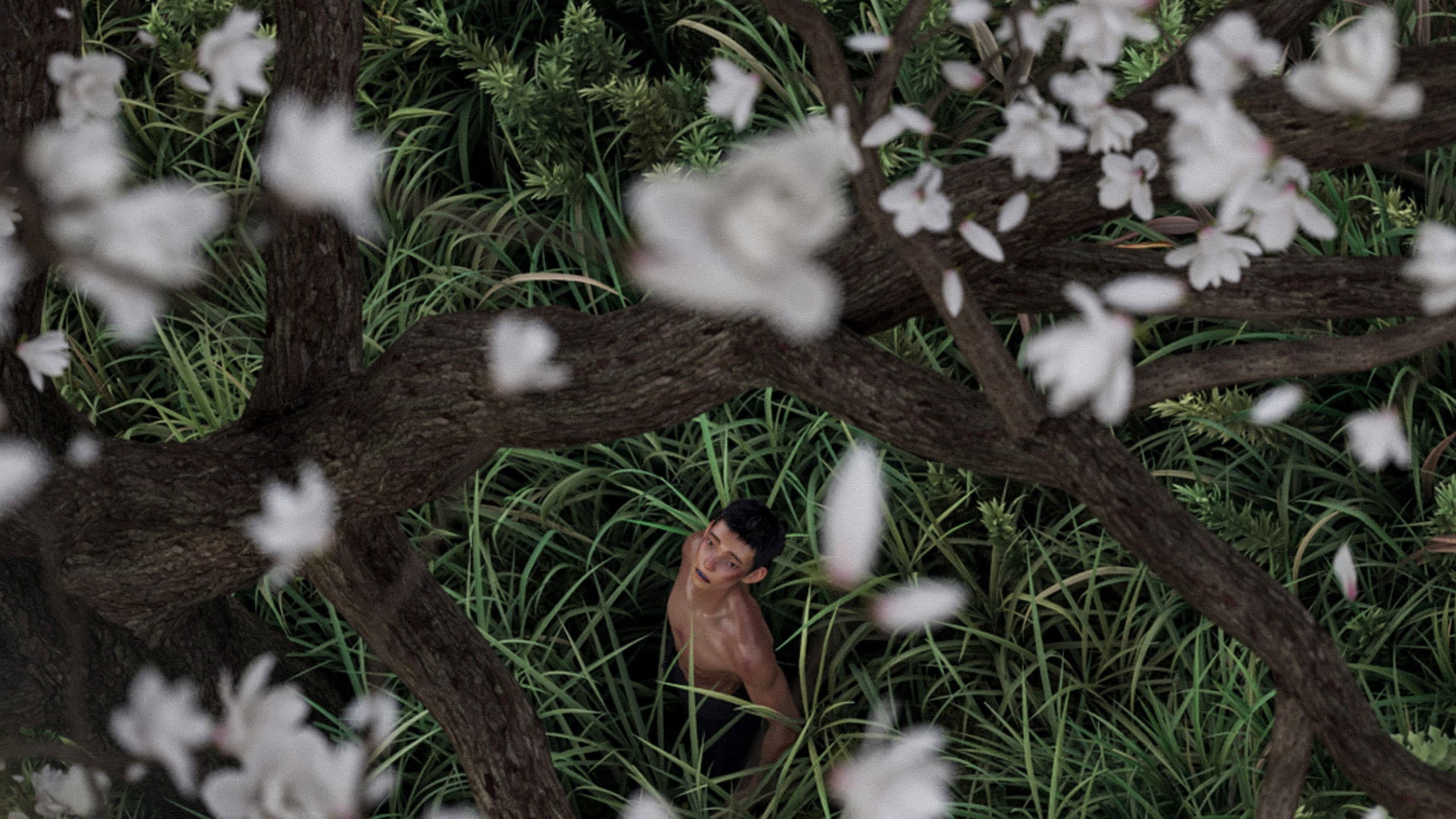 Backdrop of I Am What I Am 2